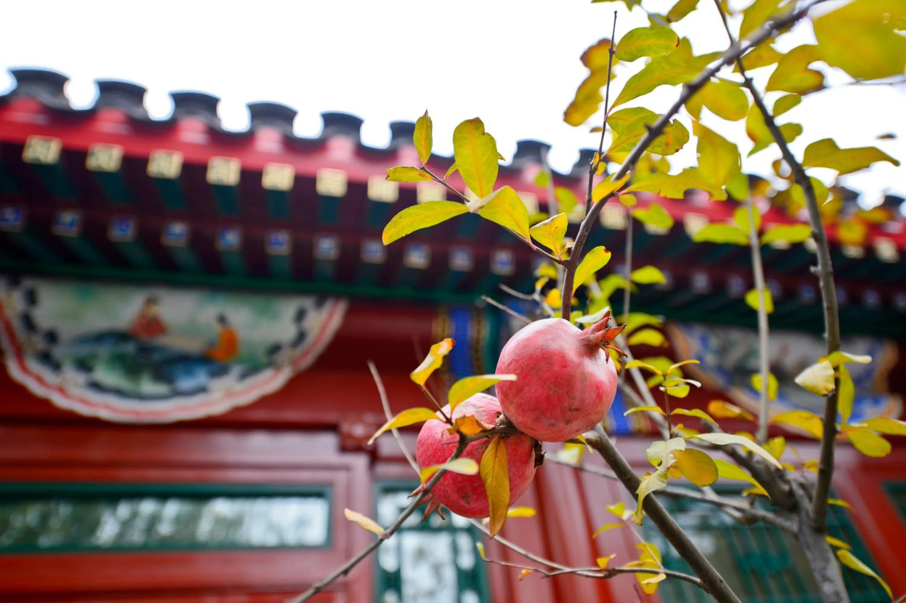 Autumn in Cours Et Pavillons