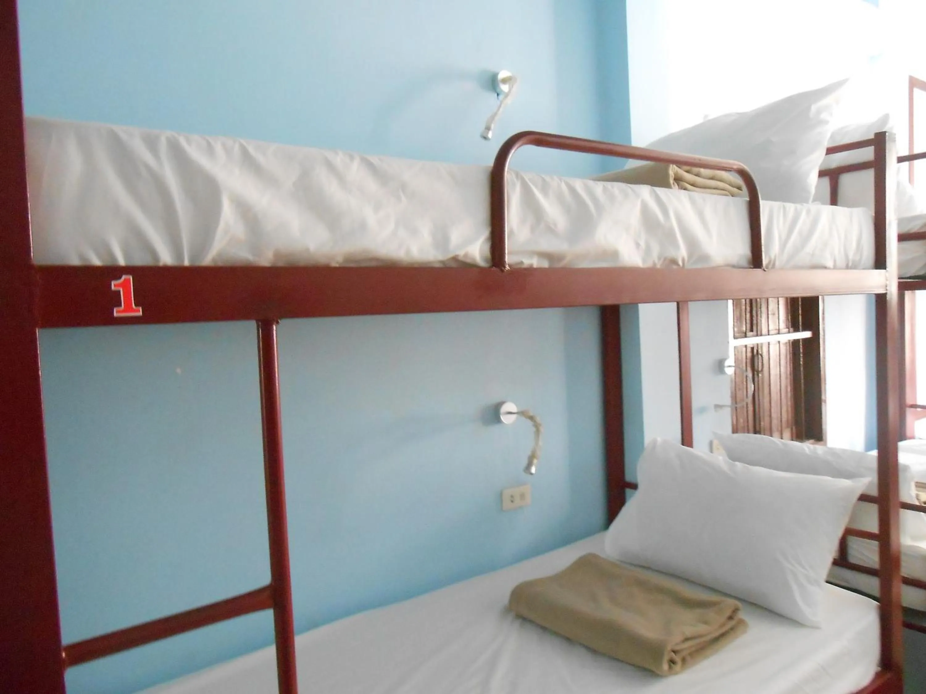 Bed in Lucky Backpacker Hostel