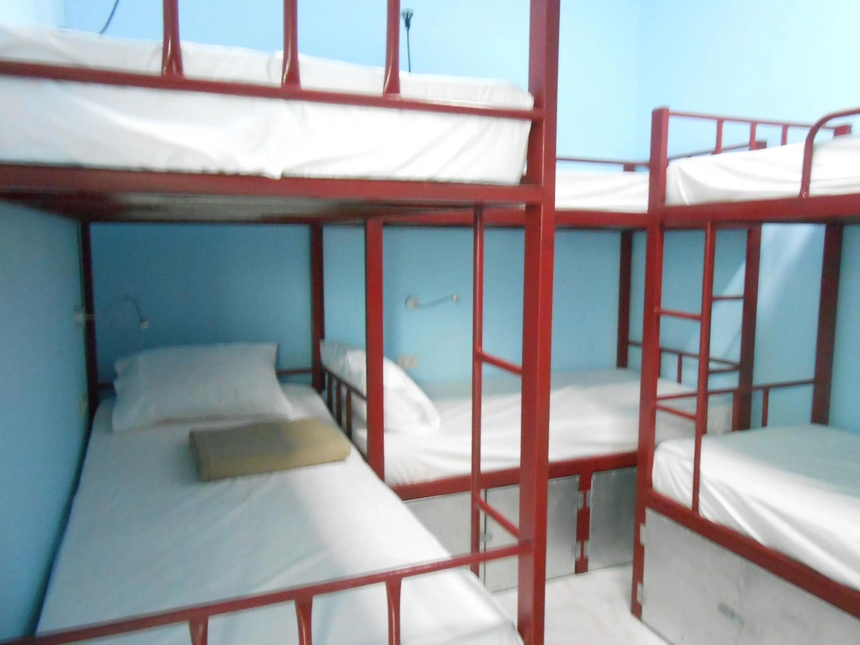 Bed in Lucky Backpacker Hostel