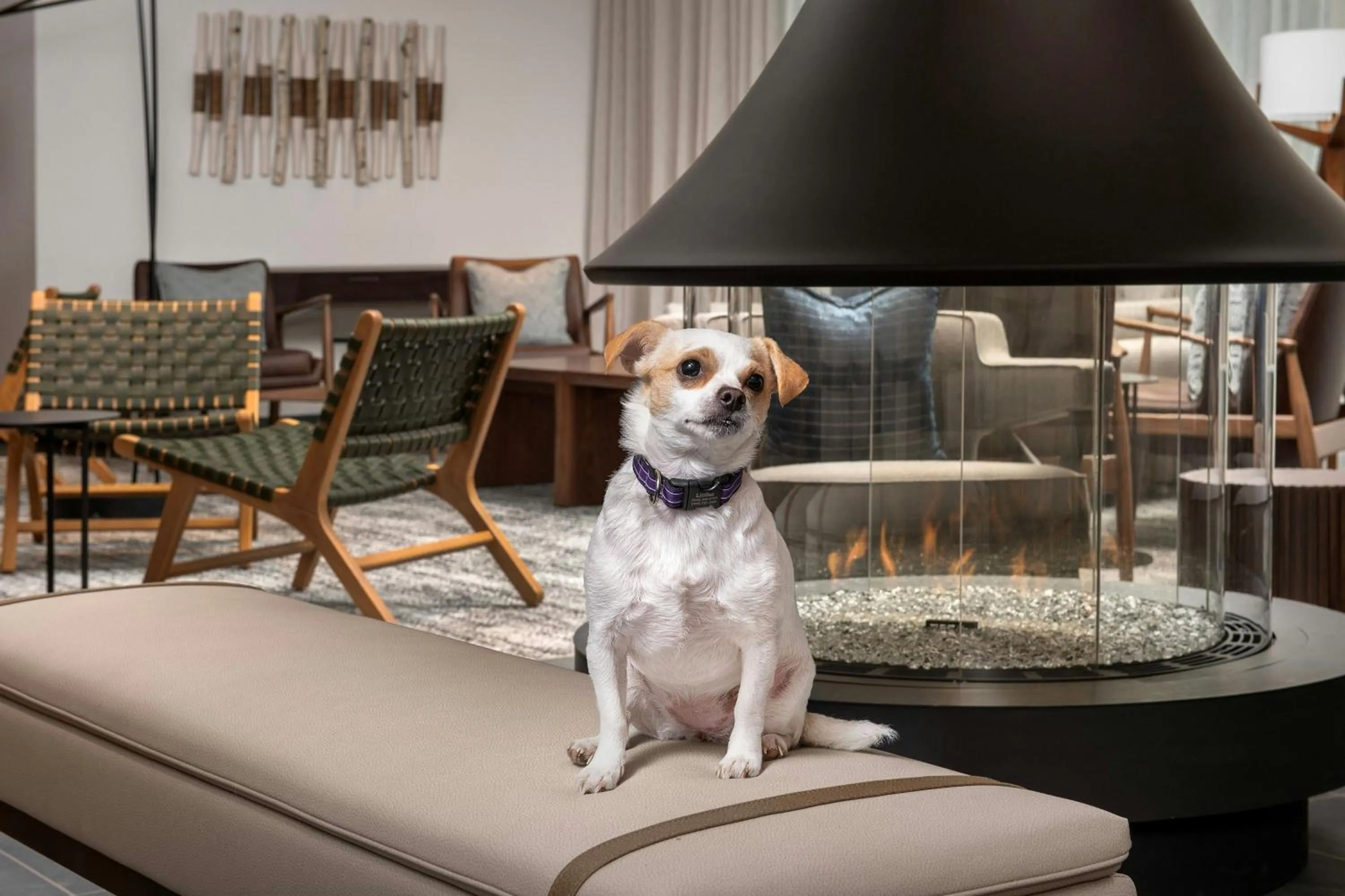 Other in Residence Inn by Marriott Seattle Northgate Station