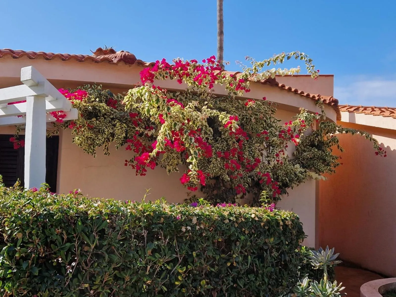 Property building in Hotel Villaggio Cala Di Volpe