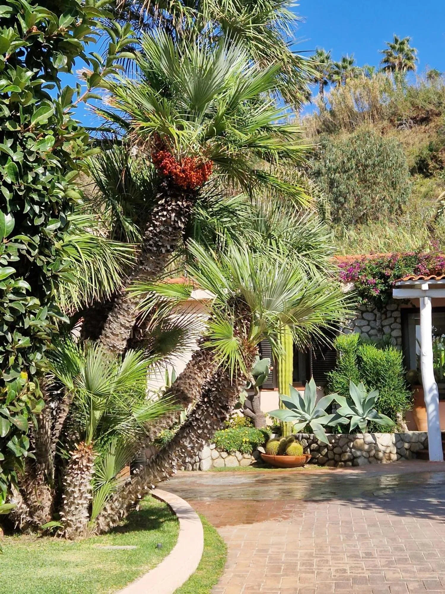 Garden in Hotel Villaggio Cala Di Volpe