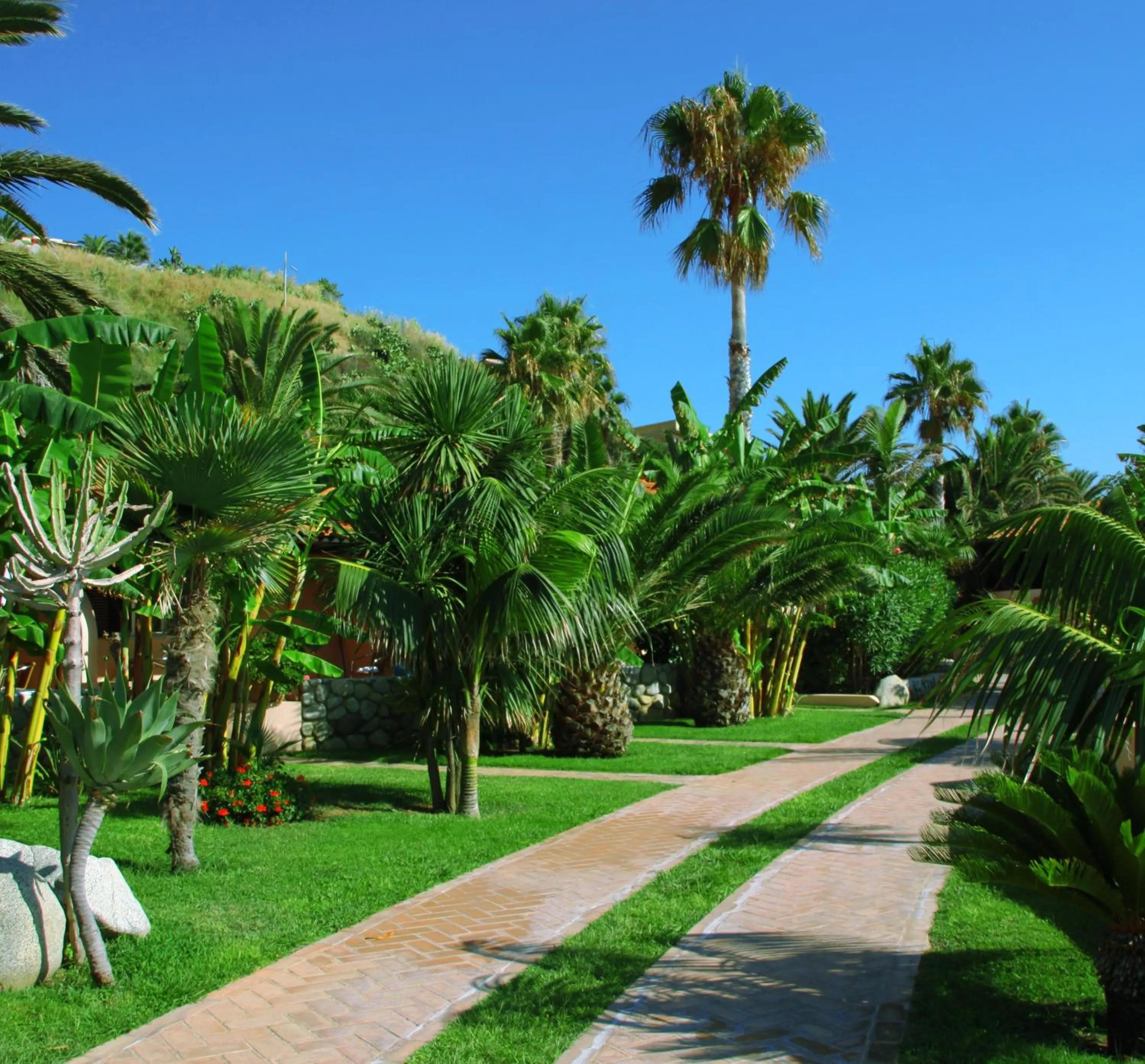 Garden in Hotel Villaggio Cala Di Volpe