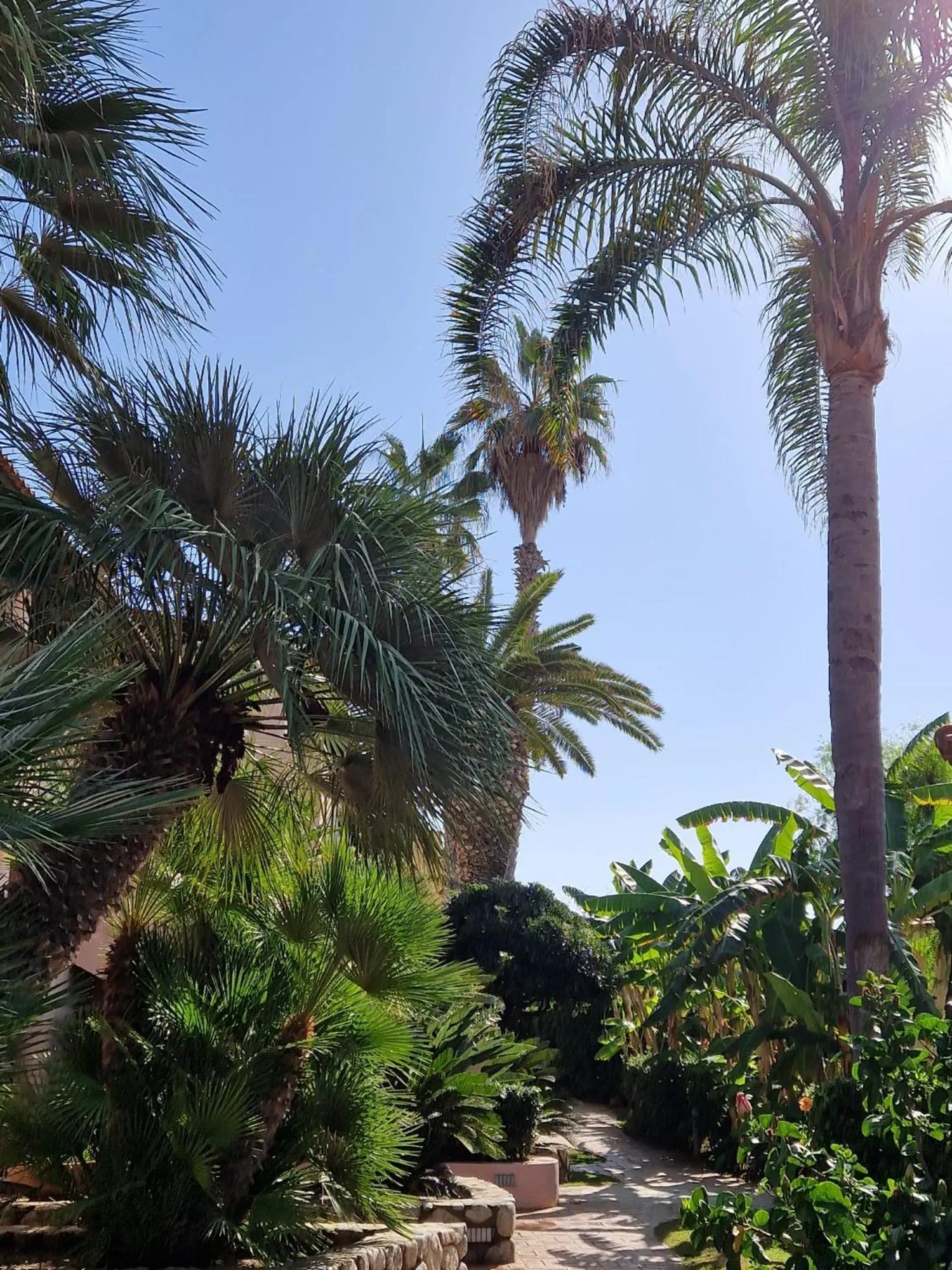 Garden view in Hotel Villaggio Cala Di Volpe