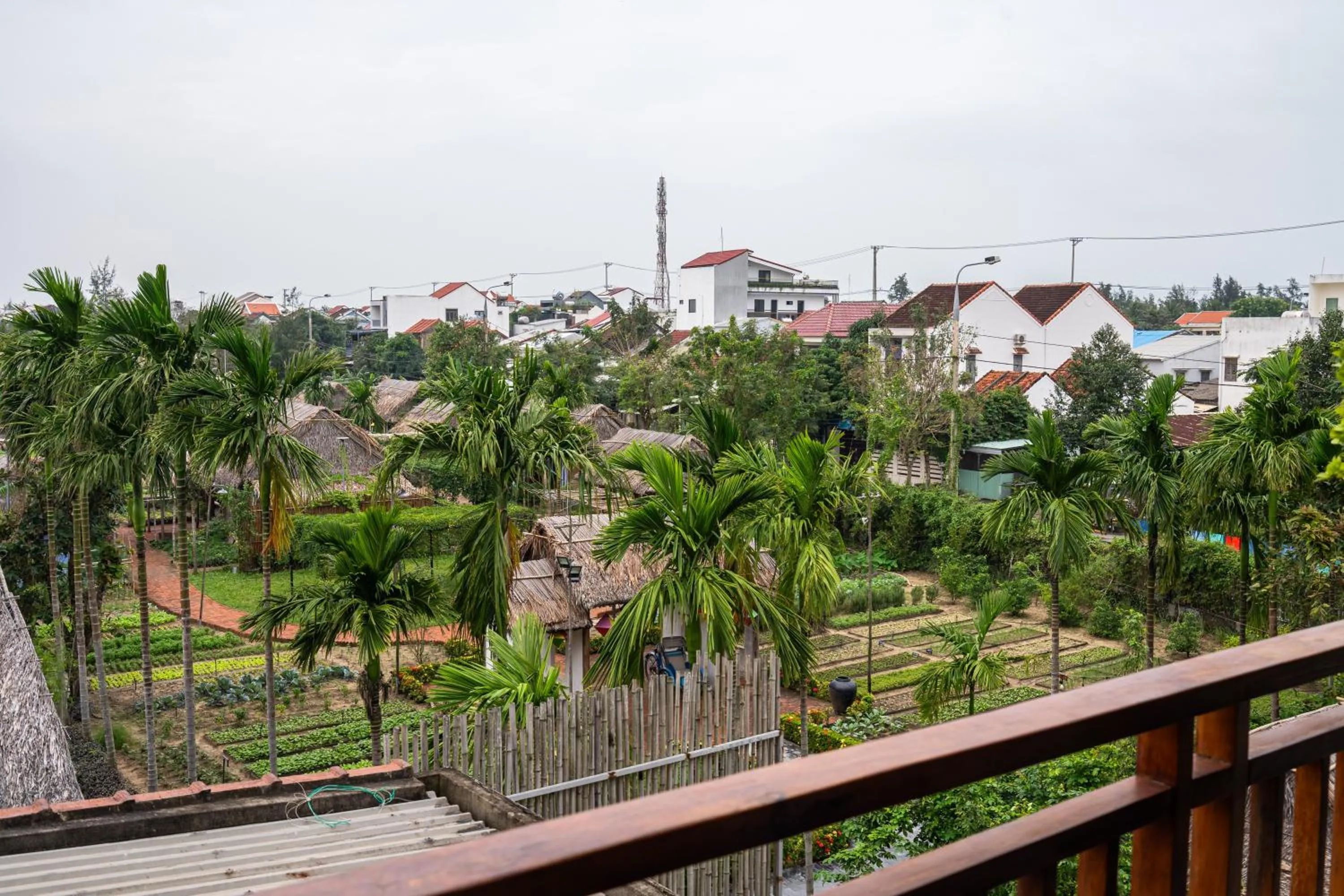 Natural landscape in Palm Riverside Boutique