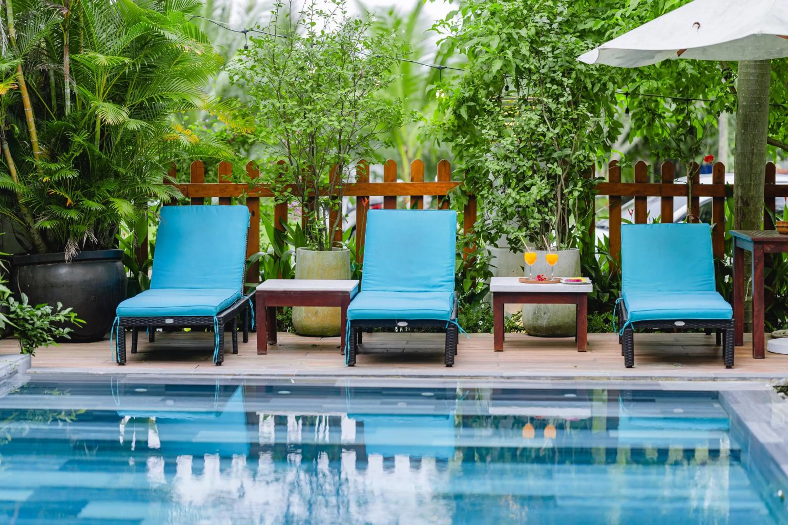 Swimming pool in Palm Riverside Boutique