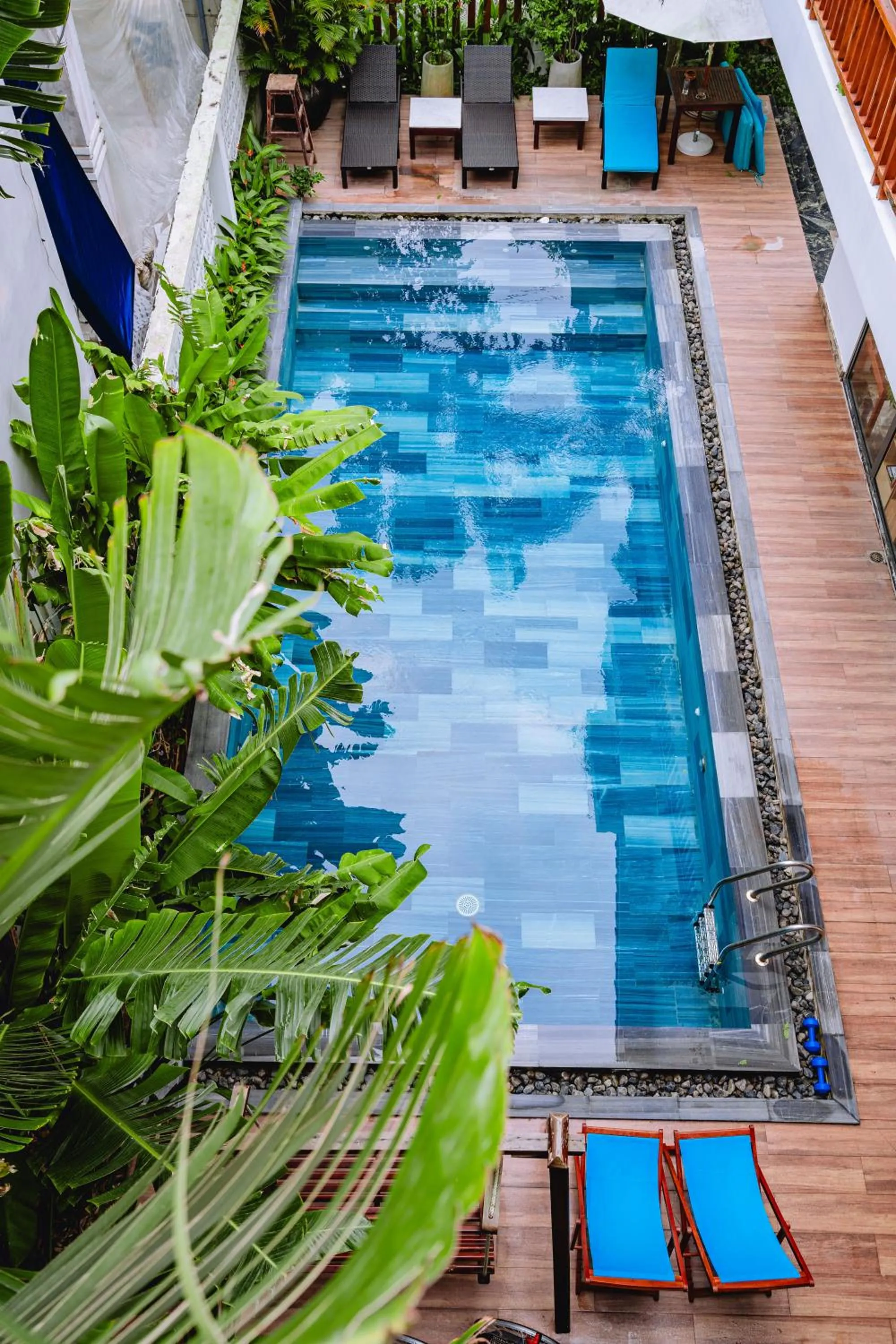 Swimming pool in Palm Riverside Boutique