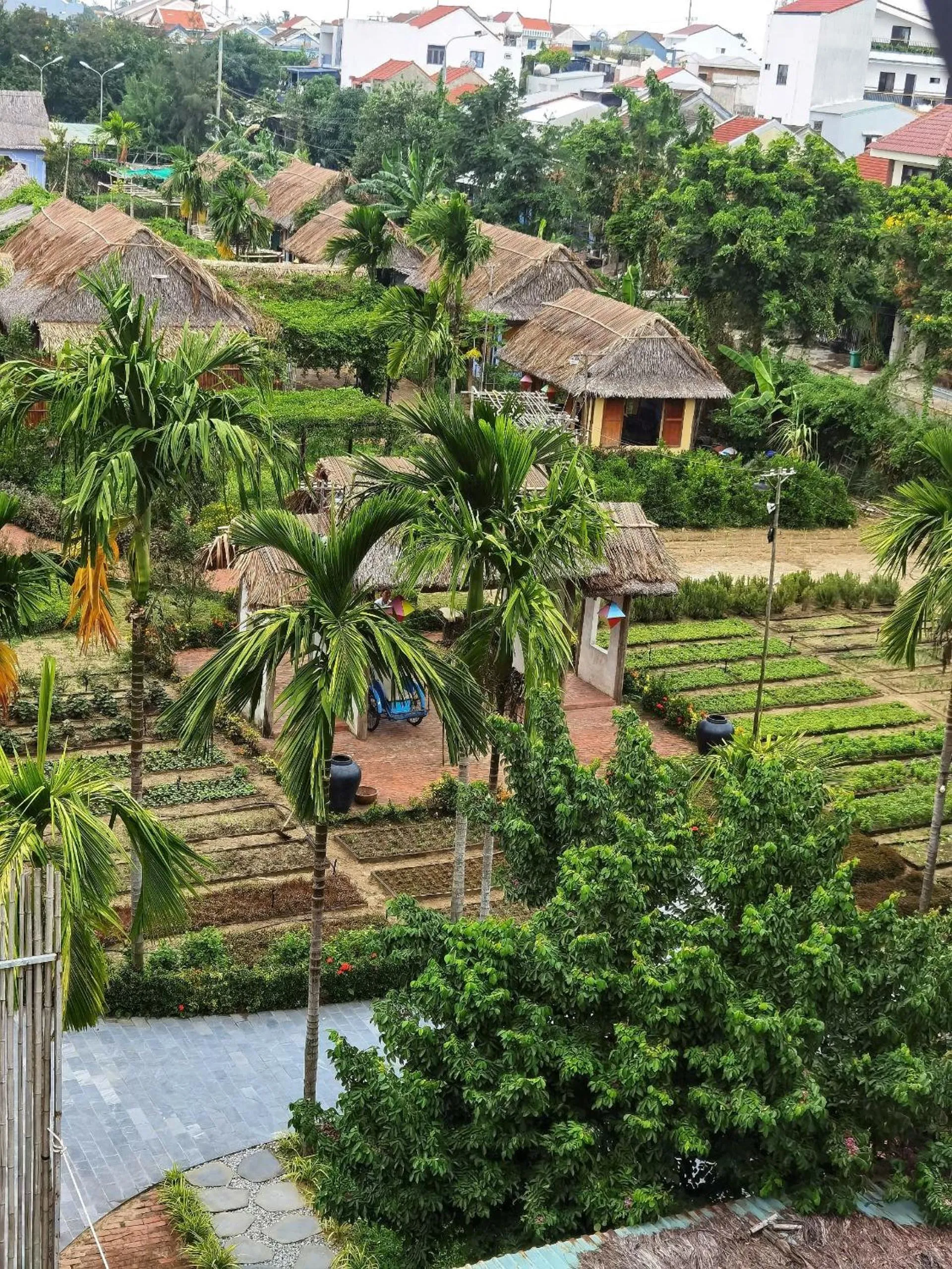 Day in Palm Riverside Boutique