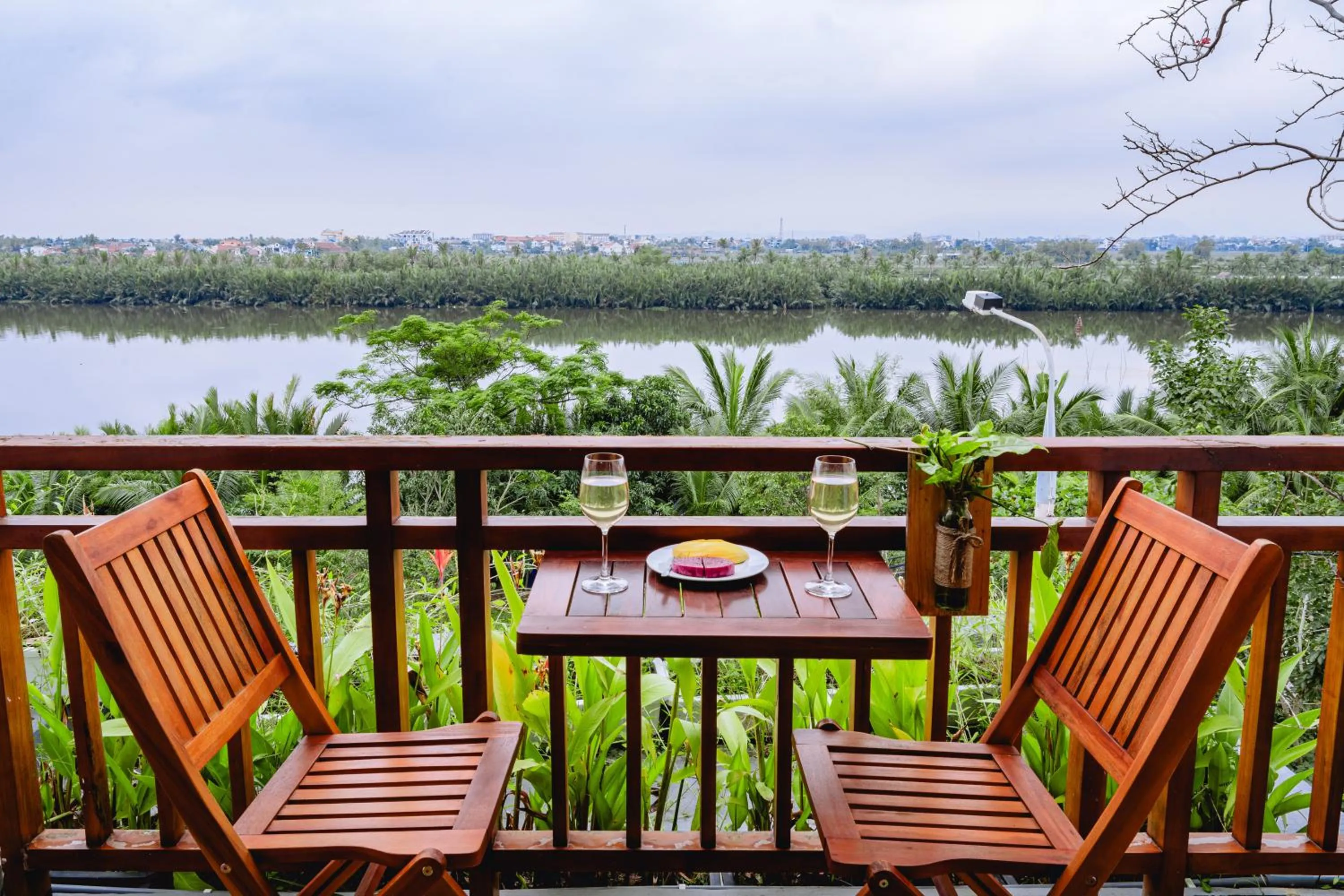 Natural landscape in Palm Riverside Boutique