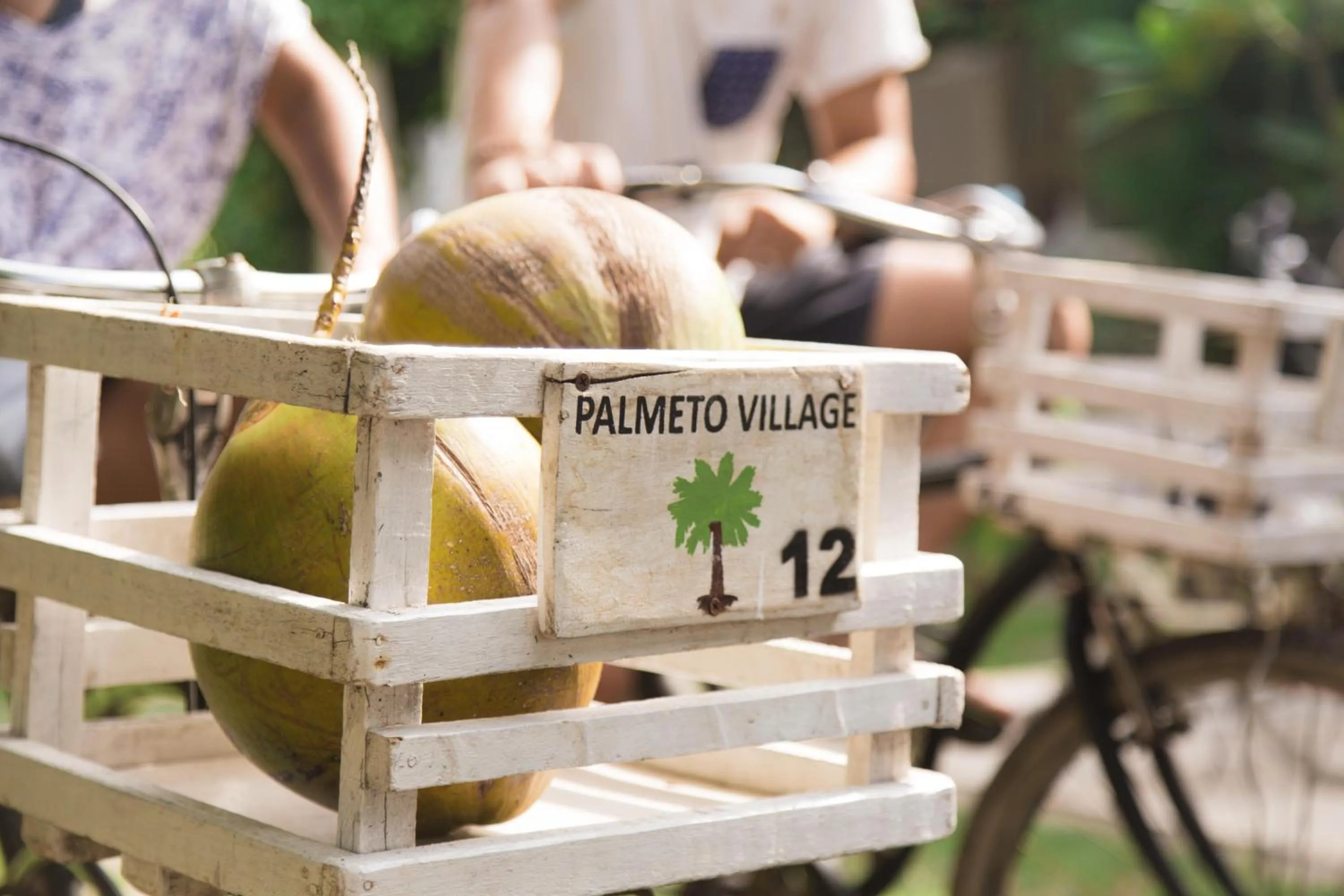Cycling in Palmeto Village
