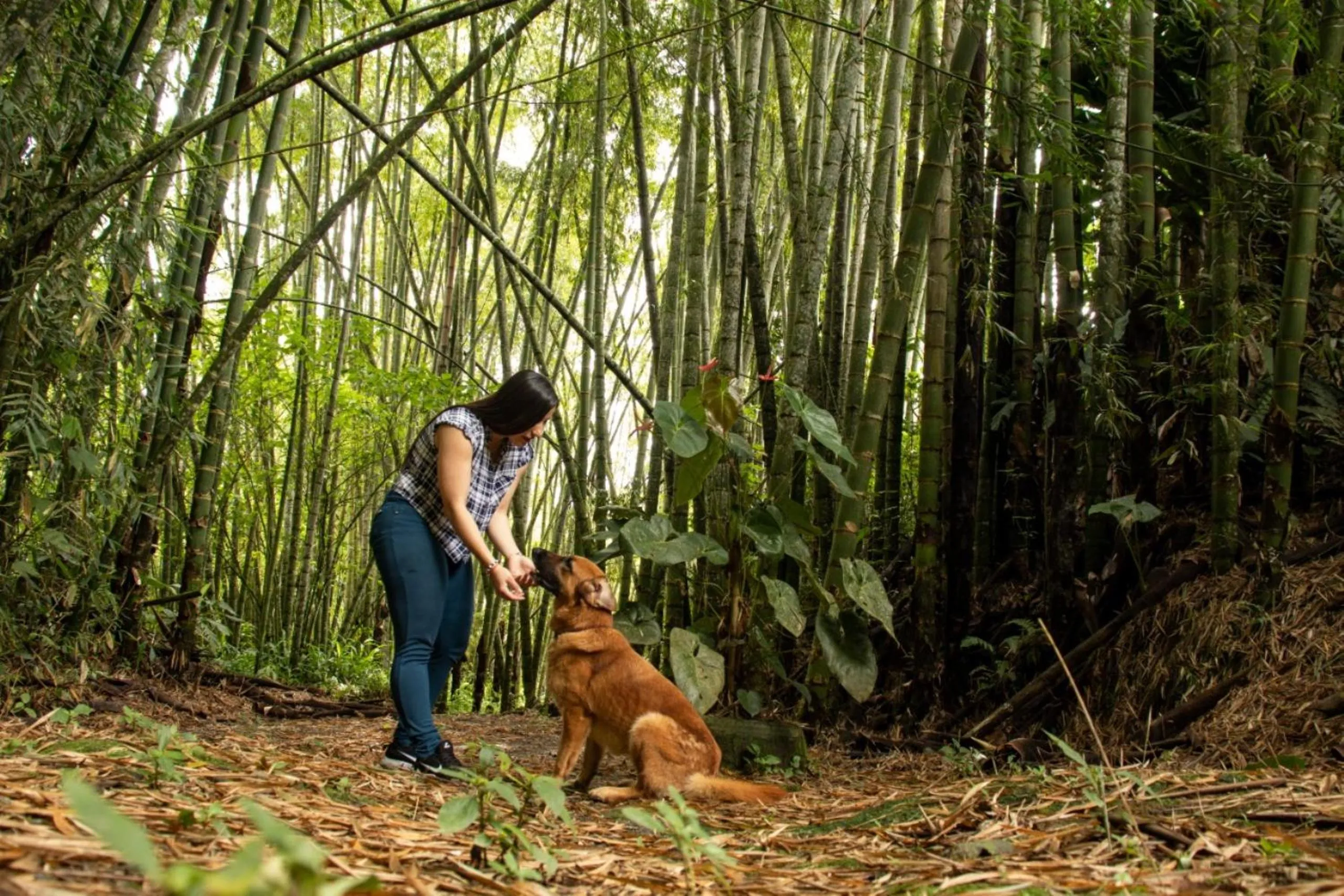 Hiking in Ecohotel La Casona Pereira