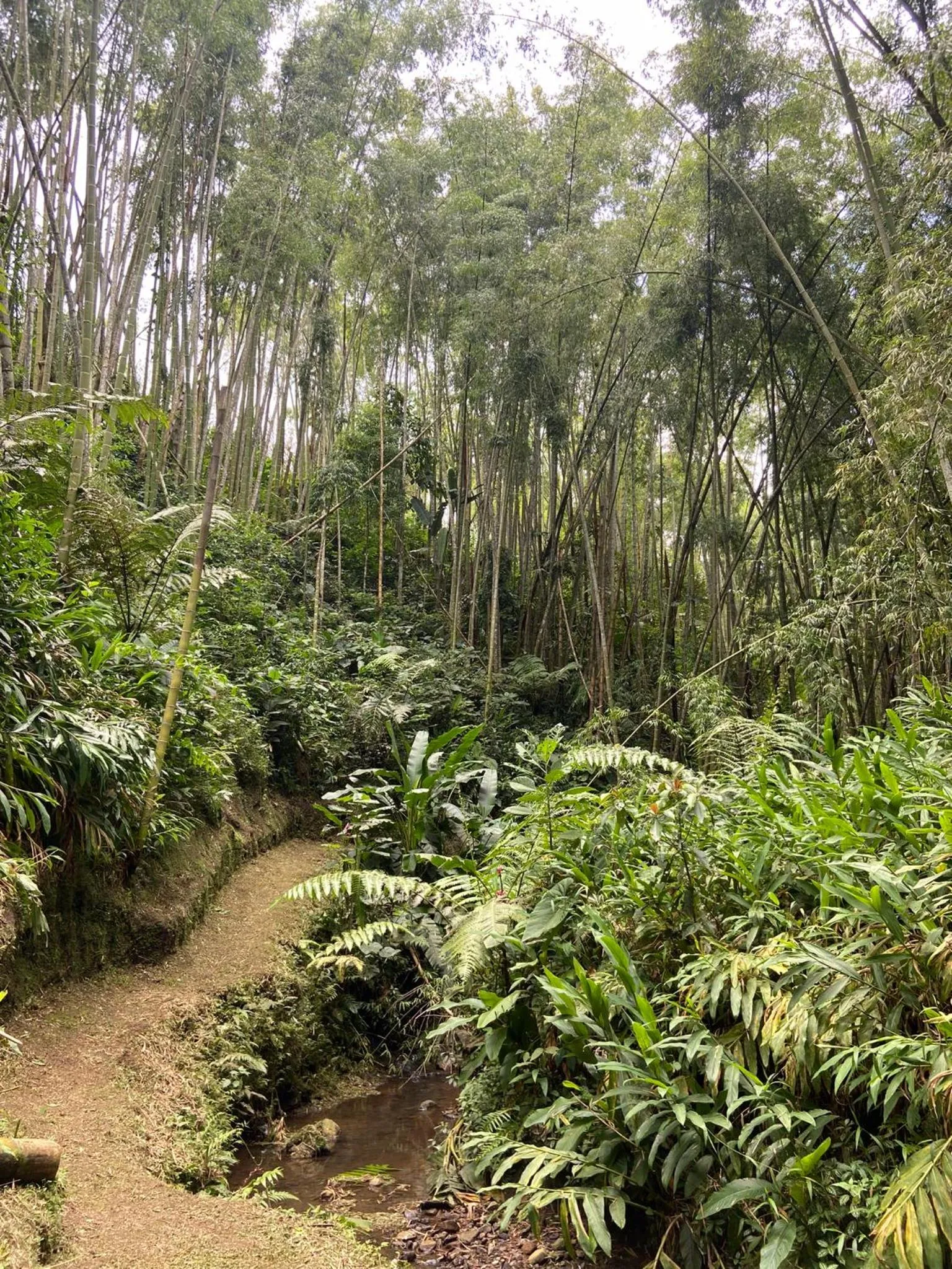 Off site in Ecohotel La Casona Pereira