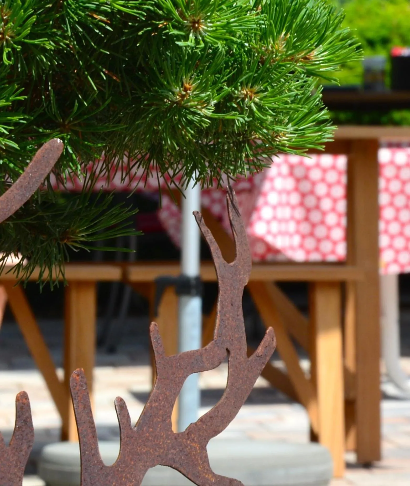 Garden in Genusshotel Hirschen - Erholung im Grünen (Südschwarzwald)