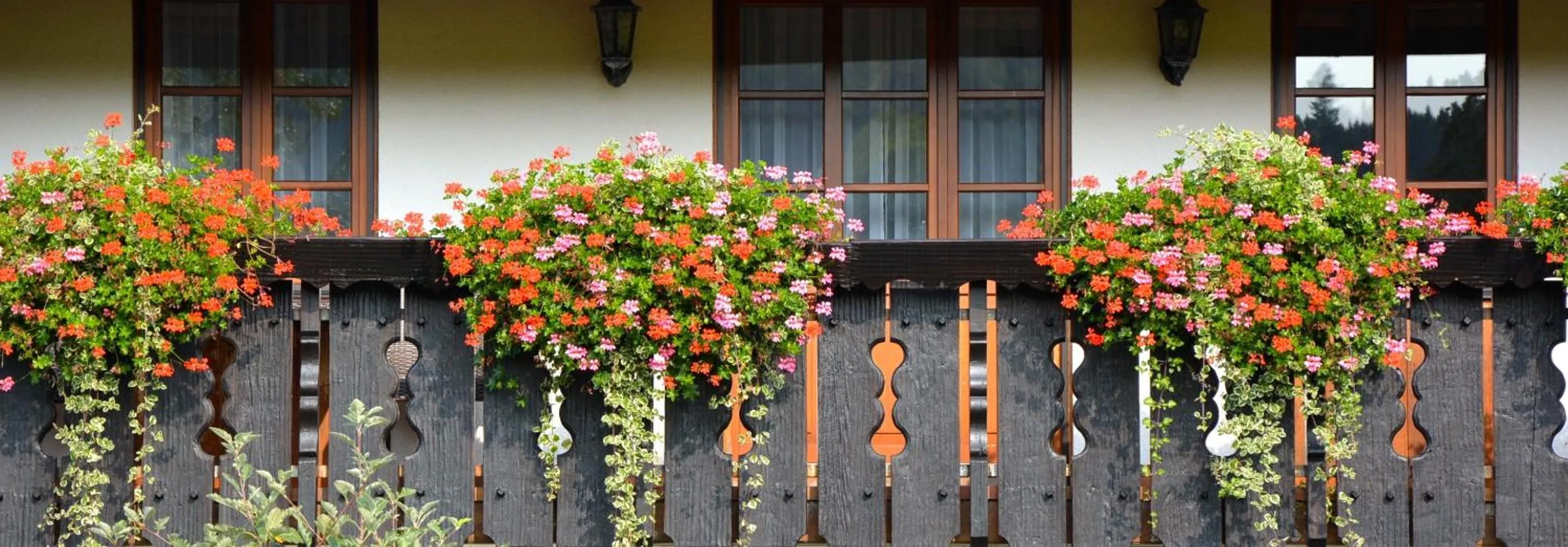 Balcony/Terrace in Genusshotel Hirschen - Erholung im Grünen (Südschwarzwald)