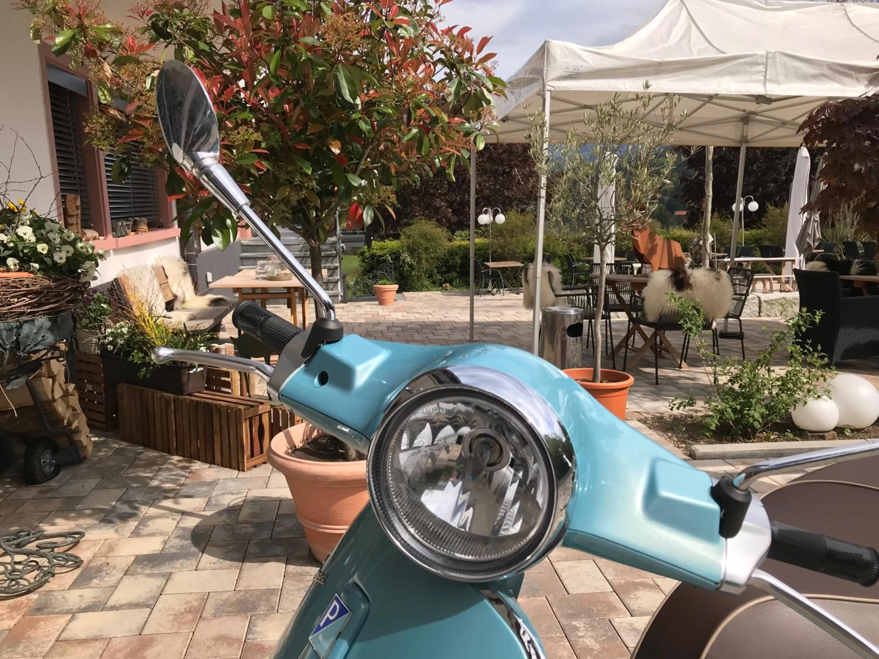 Restaurant/places to eat in Genusshotel Hirschen - Erholung im Grünen (Südschwarzwald)