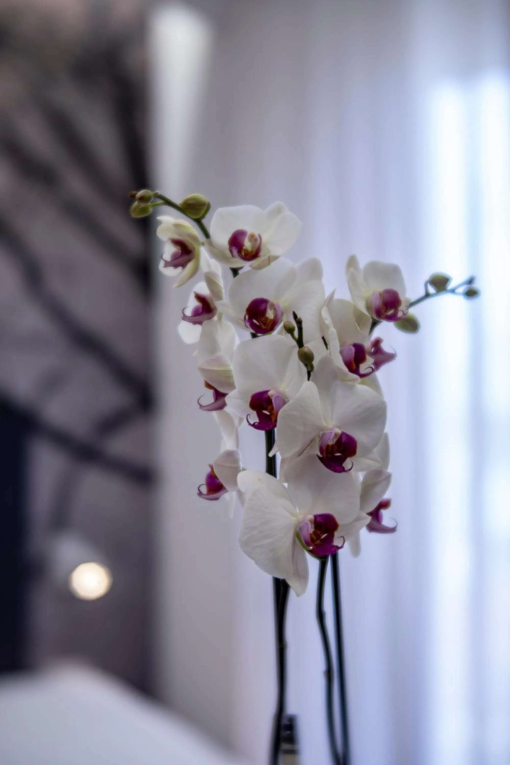 Bedroom in Hotel Stella D'Oro