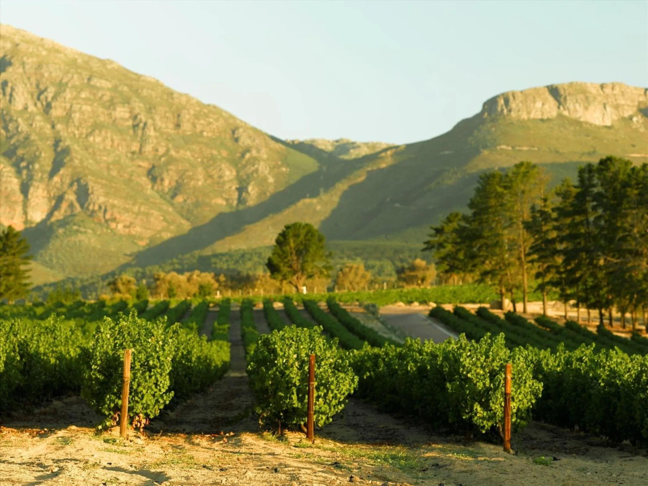 Area and facilities in Diemersfontein Wine & Country Estate