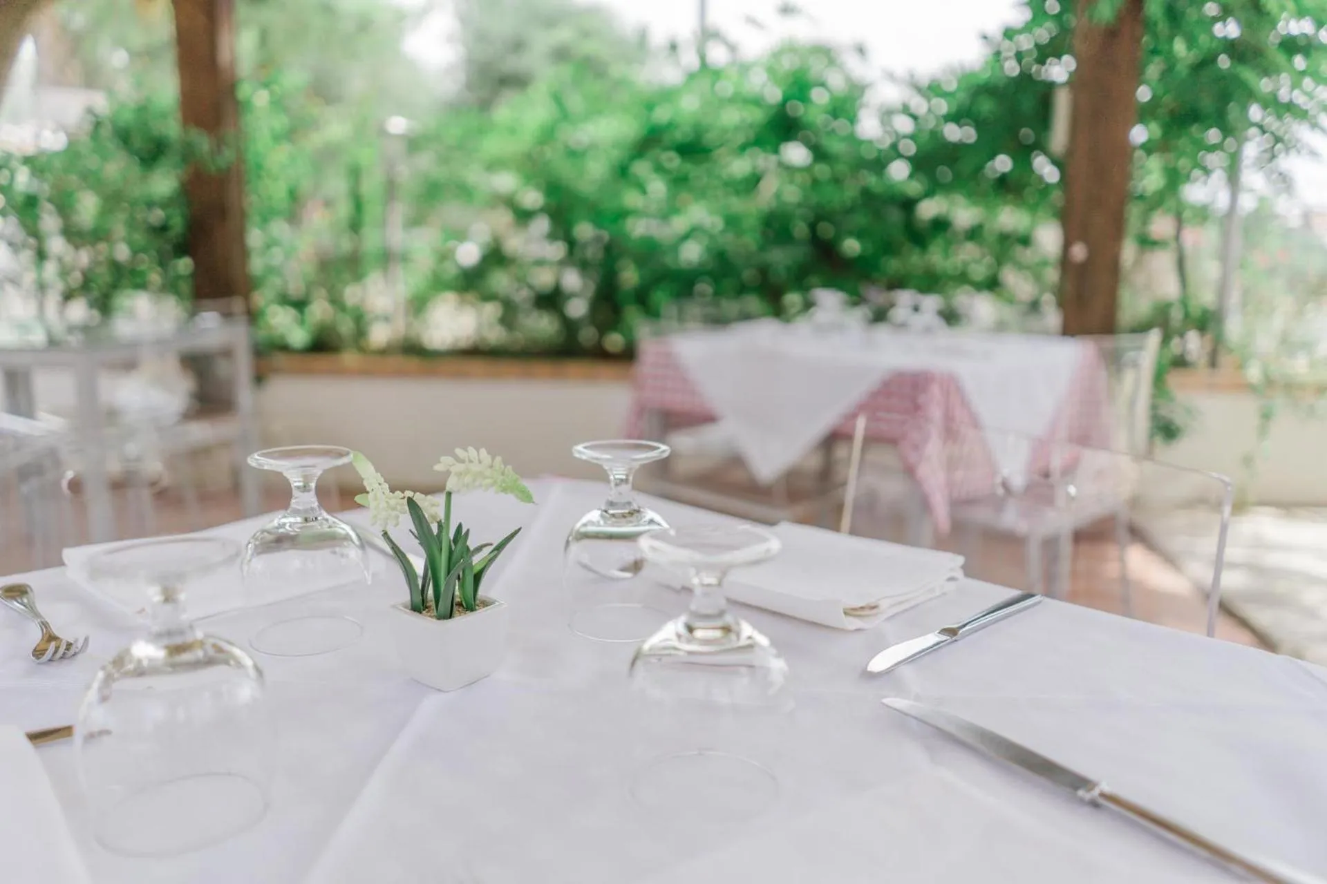 Restaurant/places to eat in Hotel Santa Rosalia