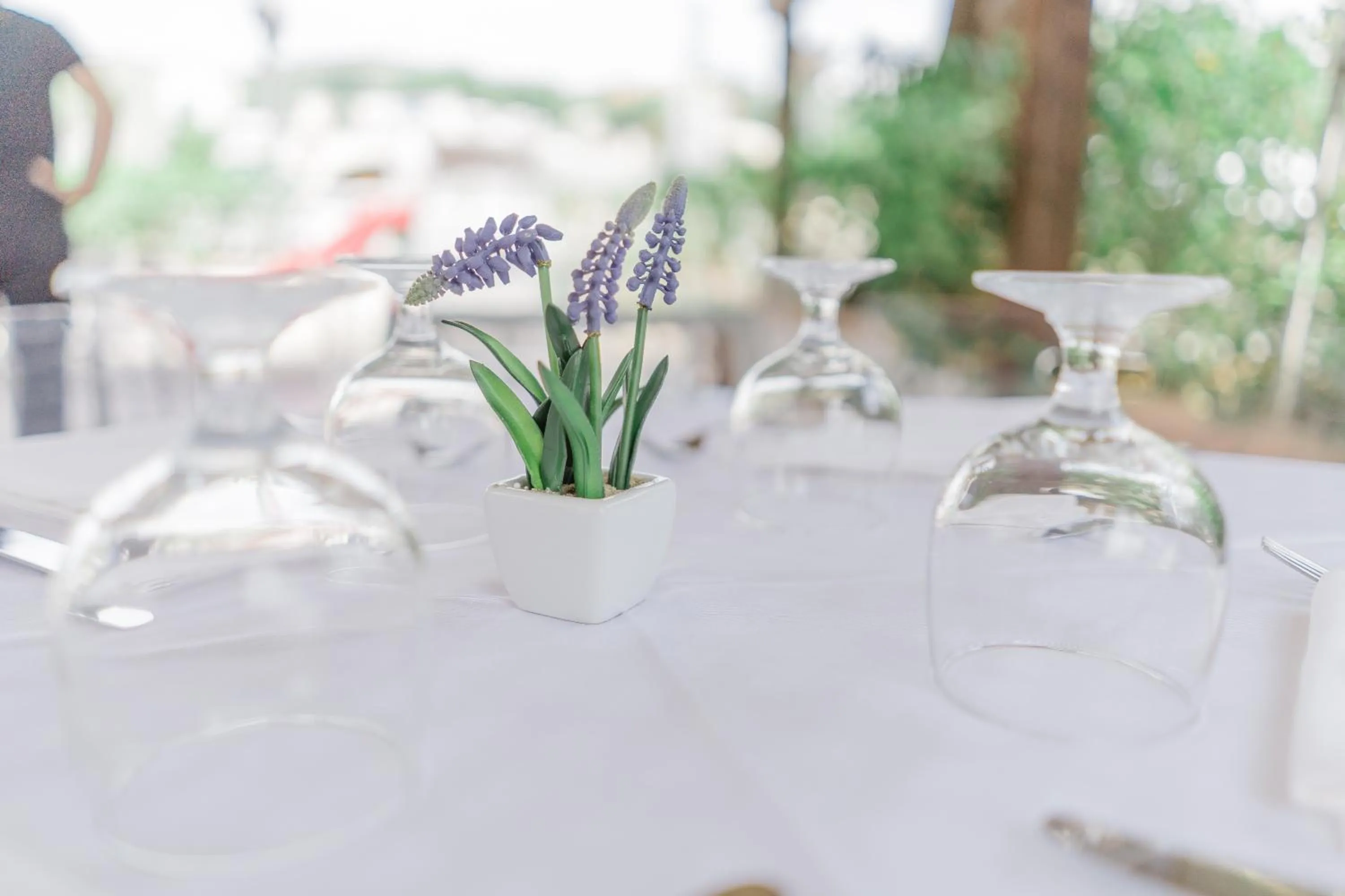 Lounge or bar in Hotel Santa Rosalia