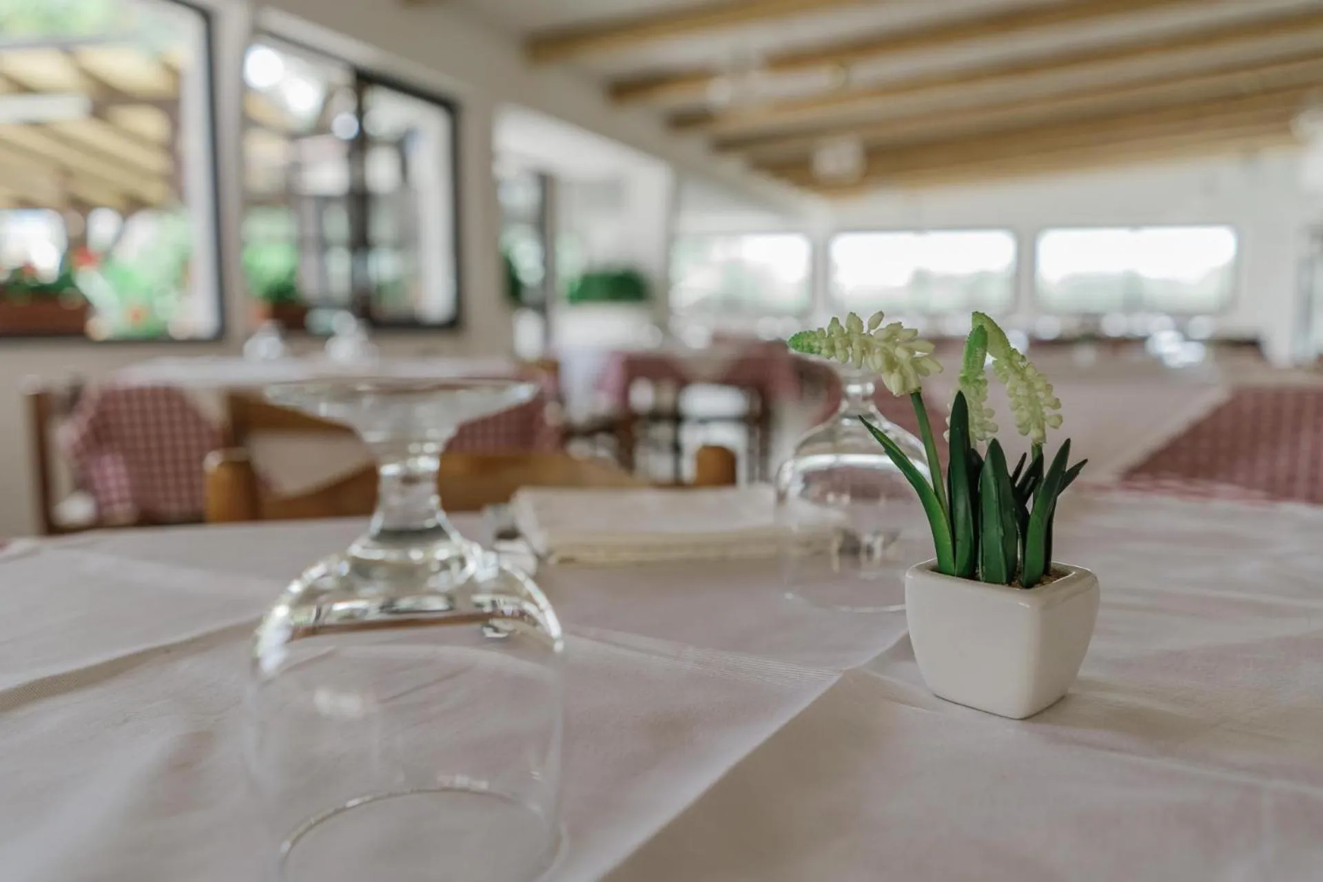 Restaurant/places to eat in Hotel Santa Rosalia