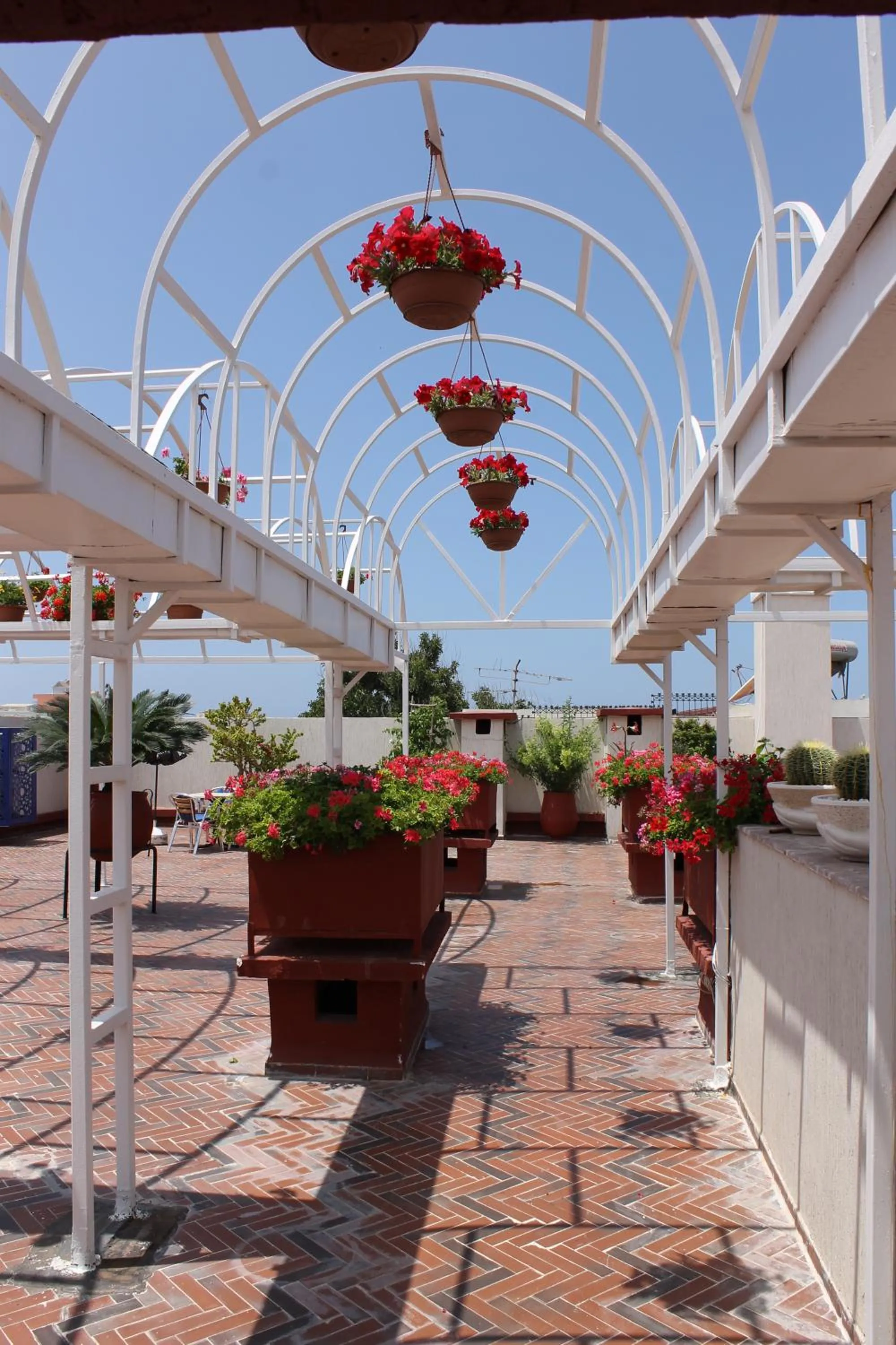 Patio in Hotel Sindibad