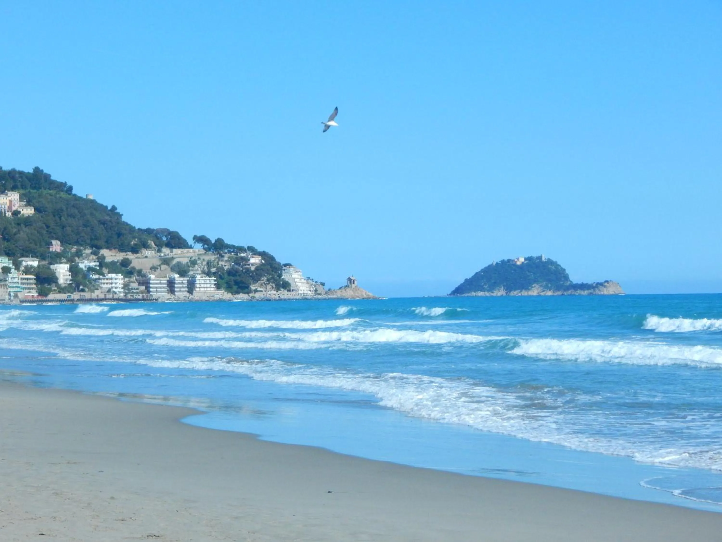 Beach in Residence Perla