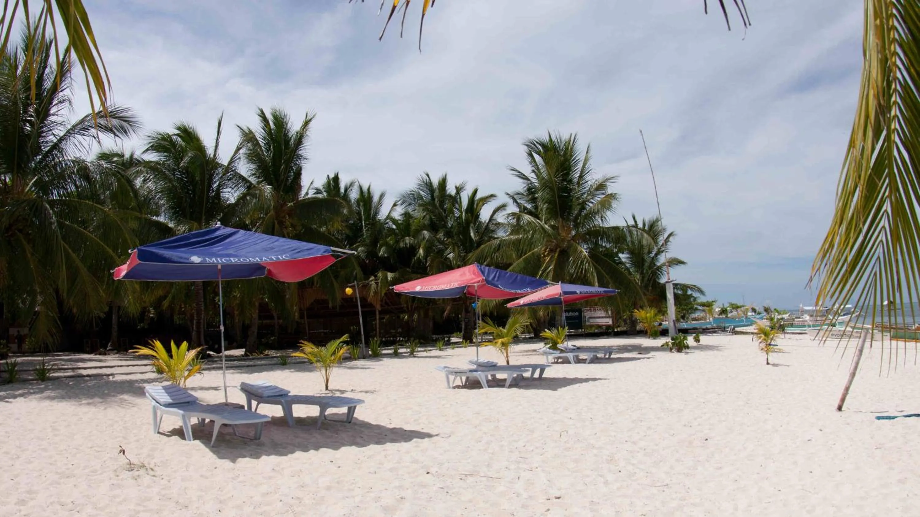 Beach in Evolution Dive and Beach Resort