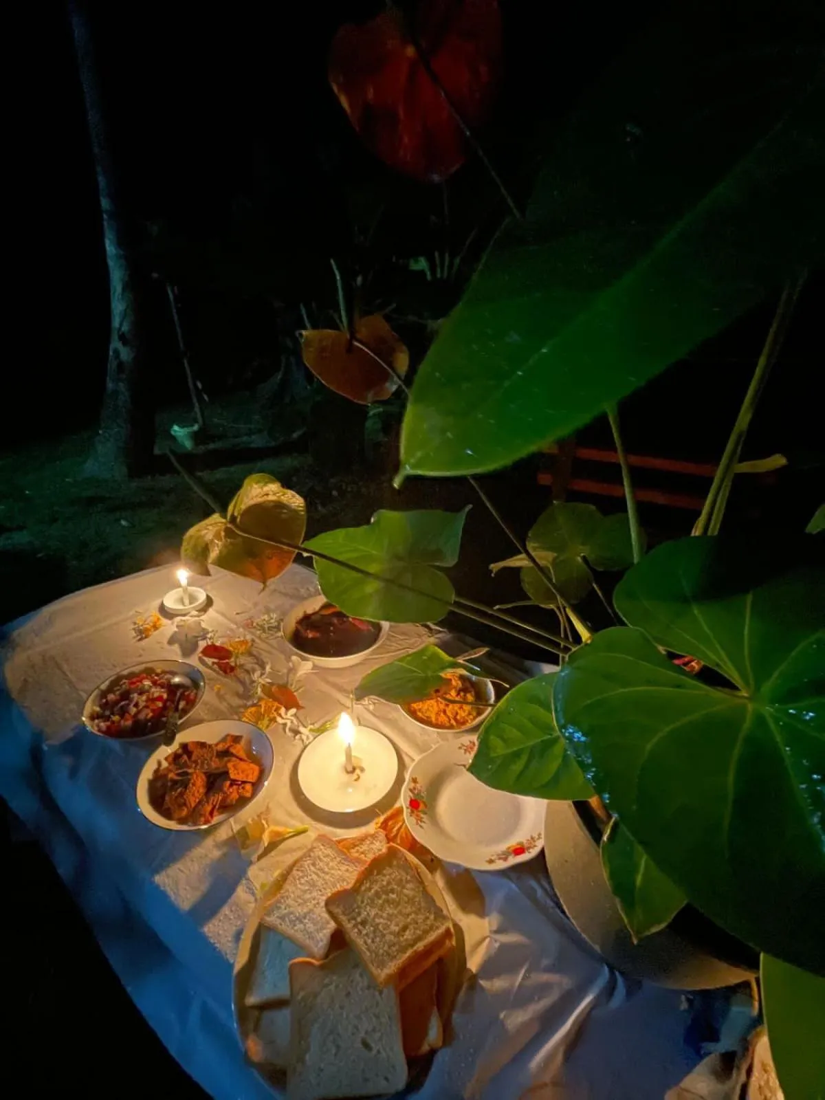 Restaurant/places to eat in Nature Inn