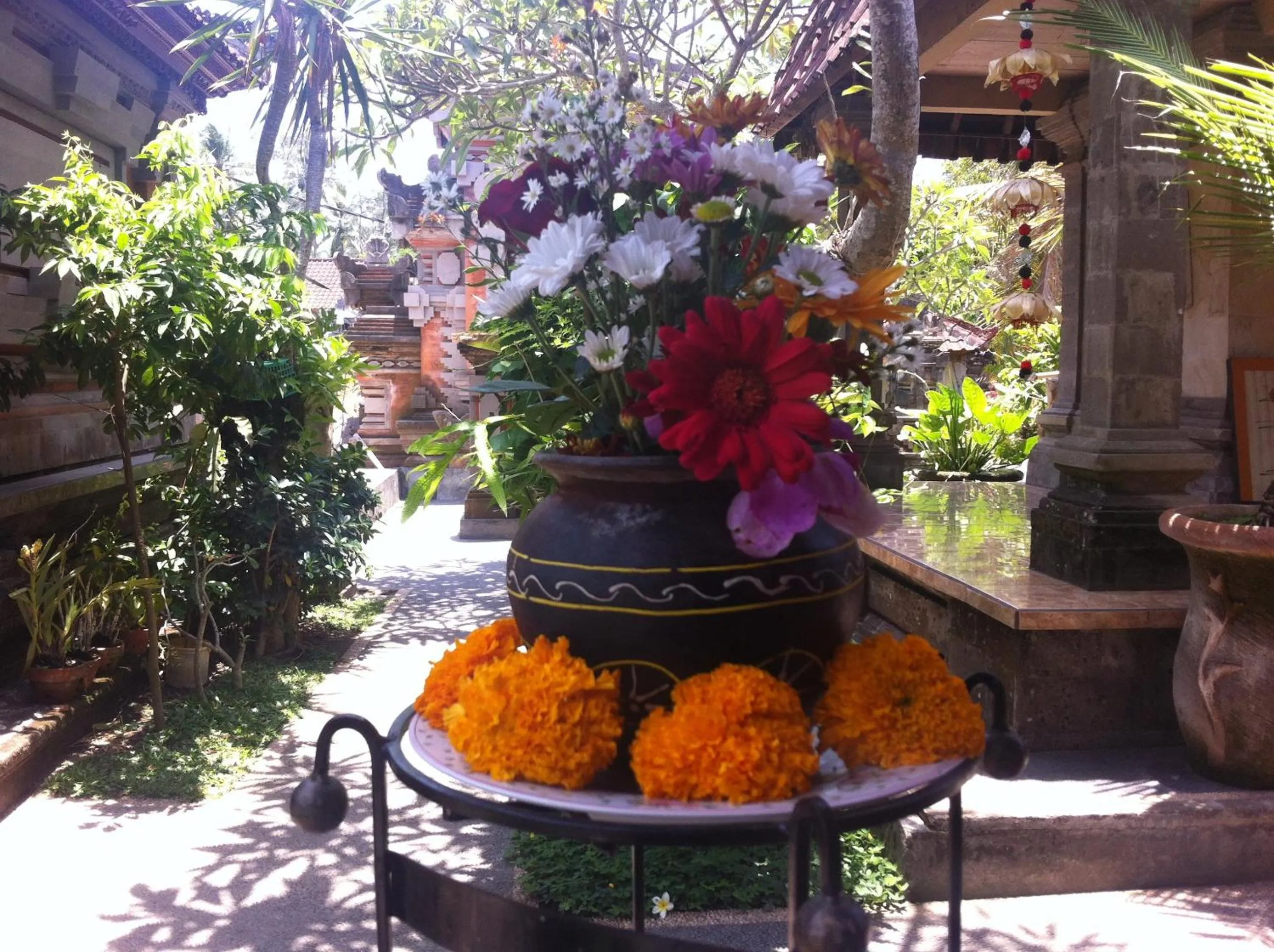 Garden in Pondok Bali