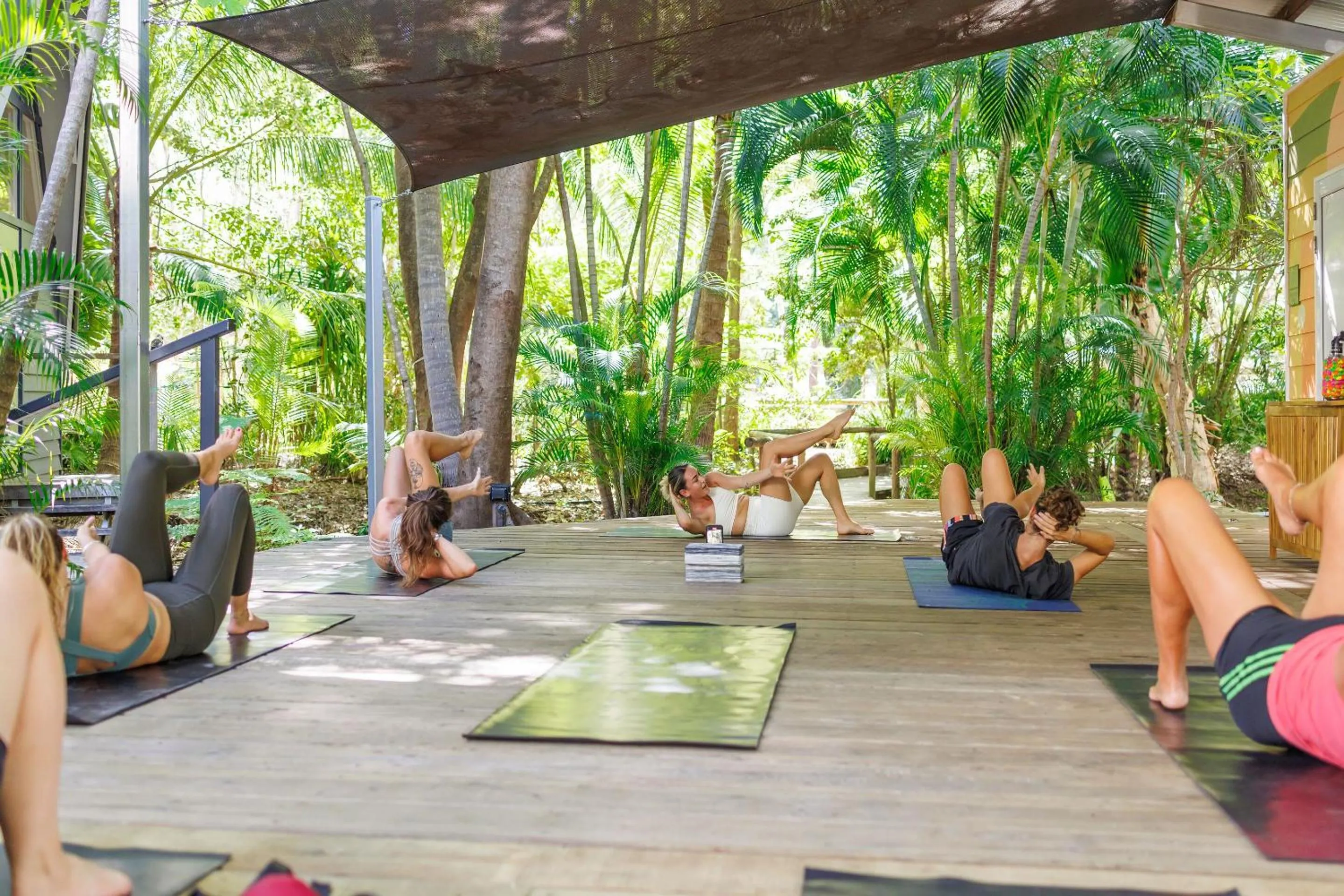 Activities in Bounce Magnetic Island and Koala Park