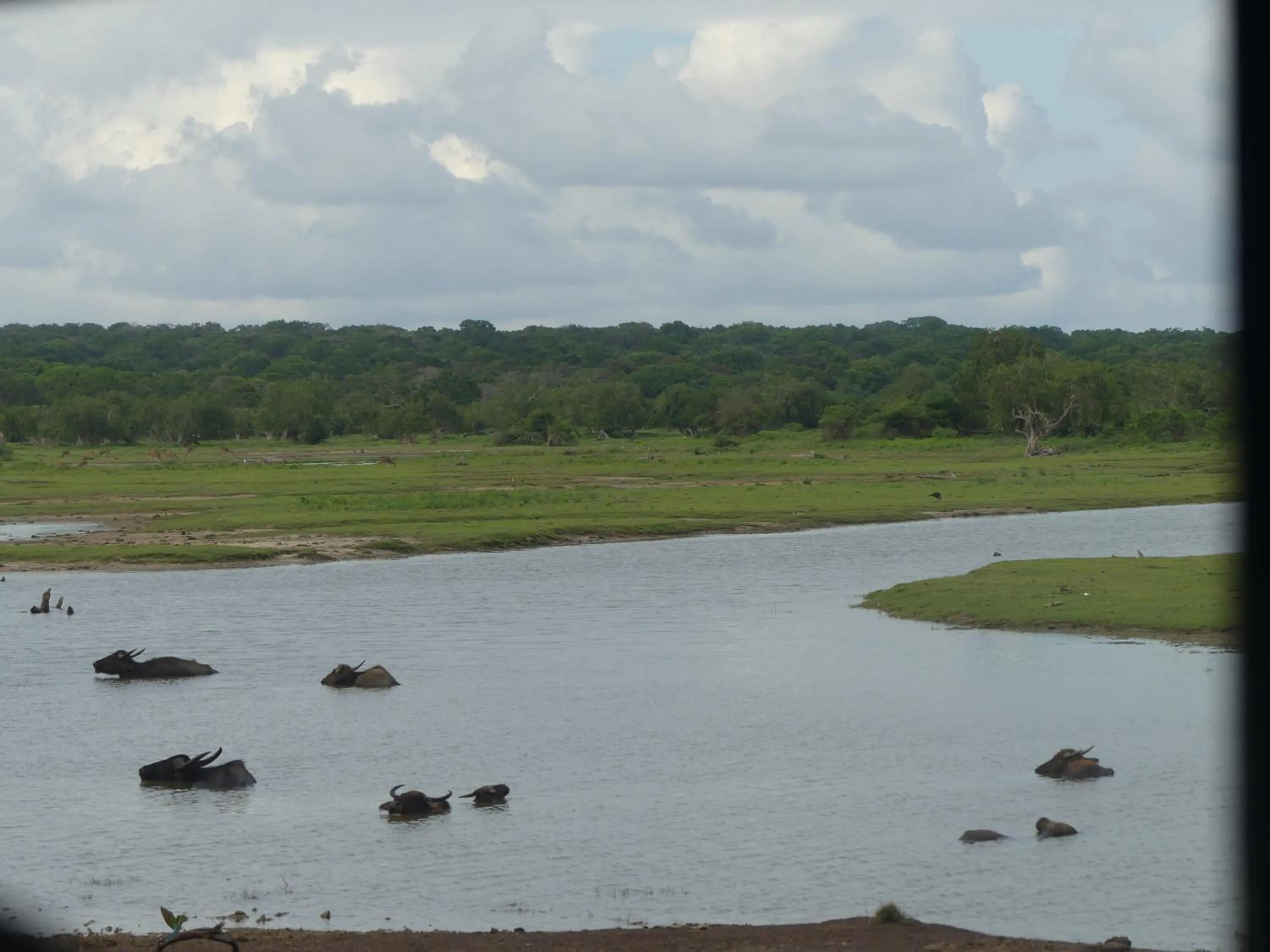 La Safari Inn Tissamaharama