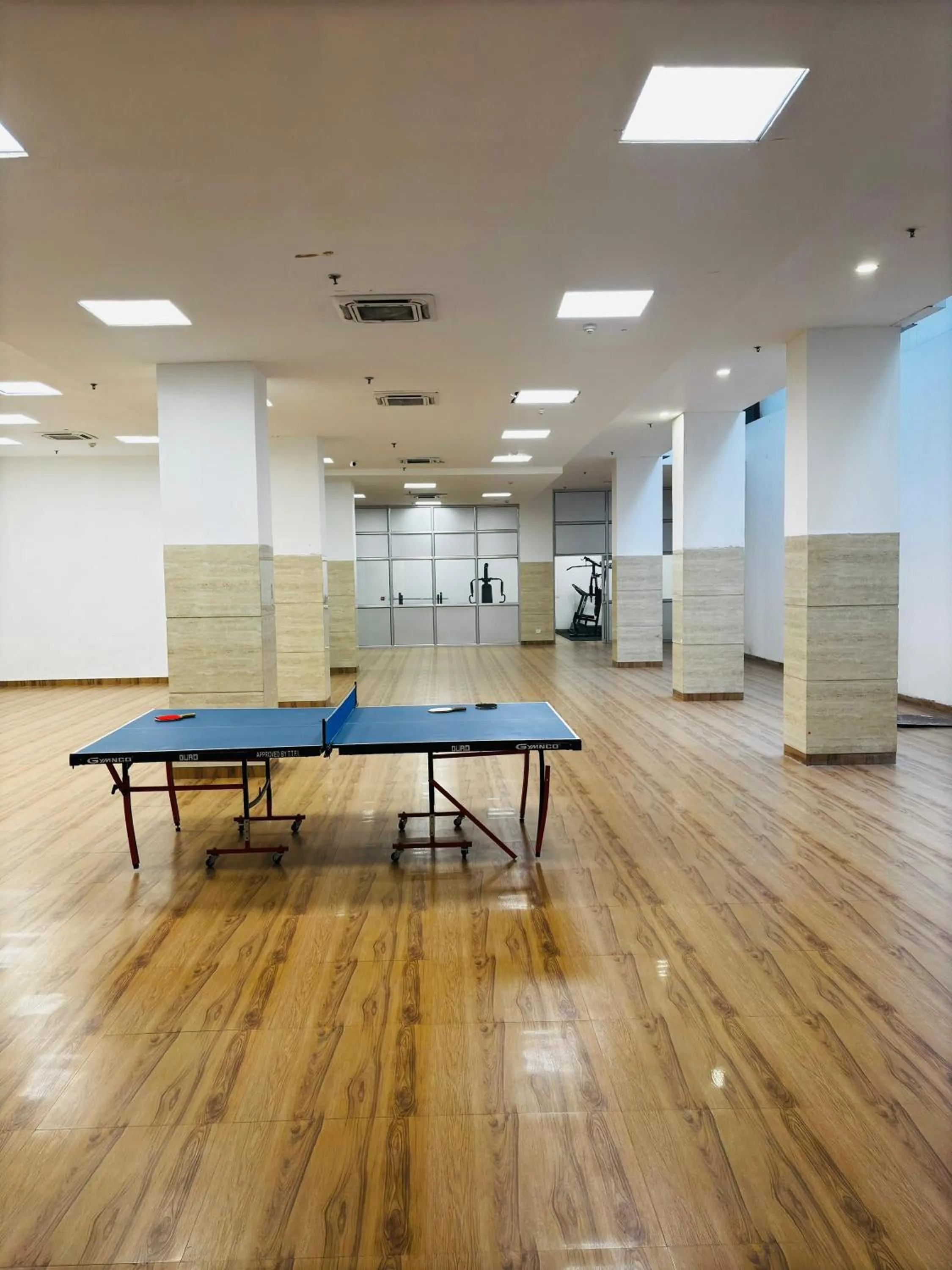 Table tennis in Housr Sector 28 Gurgaon Near IFFCO Chowk Metro Station