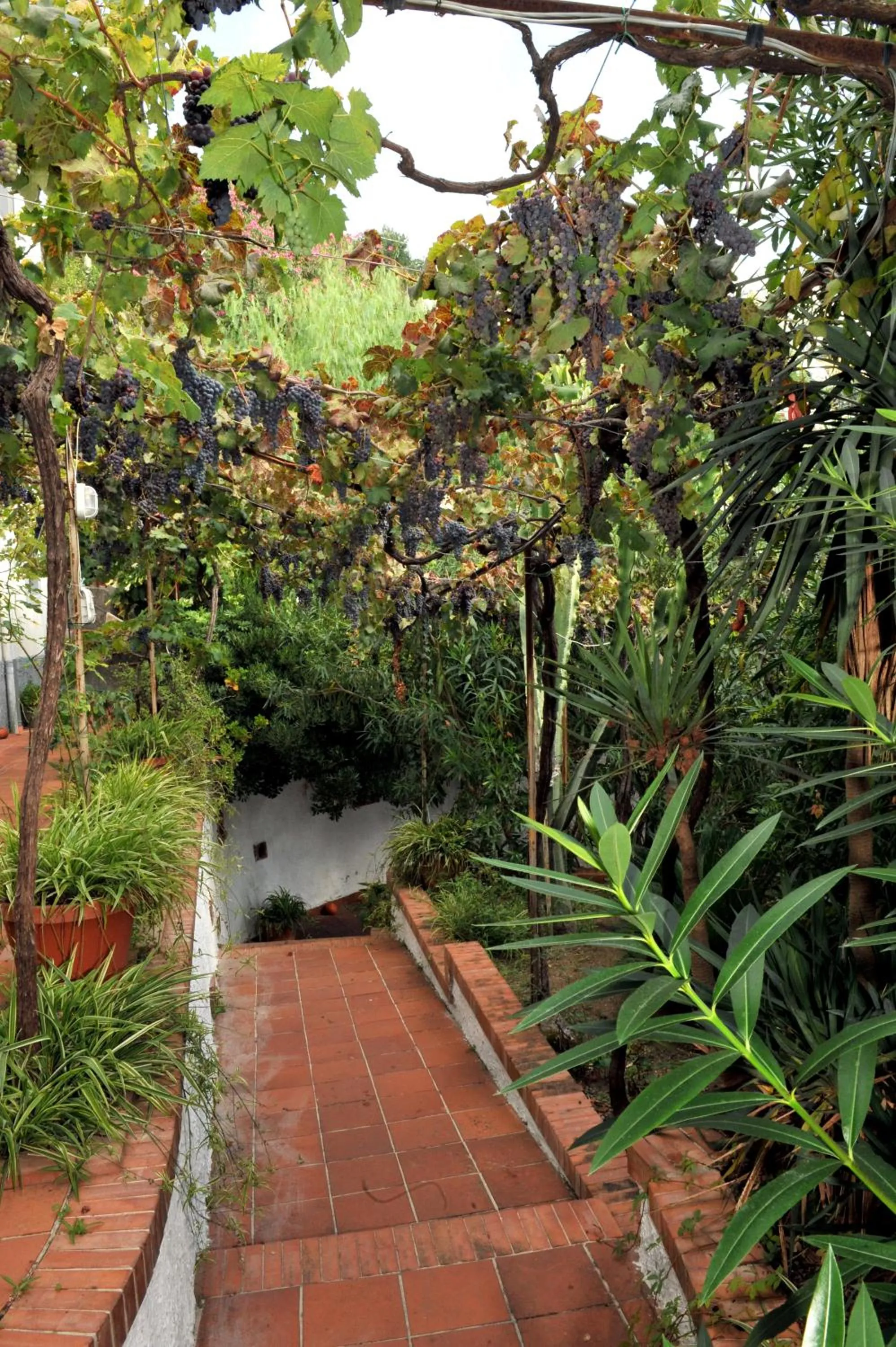 Facade/entrance in Residence Villa Giordano Amalfi Coast
