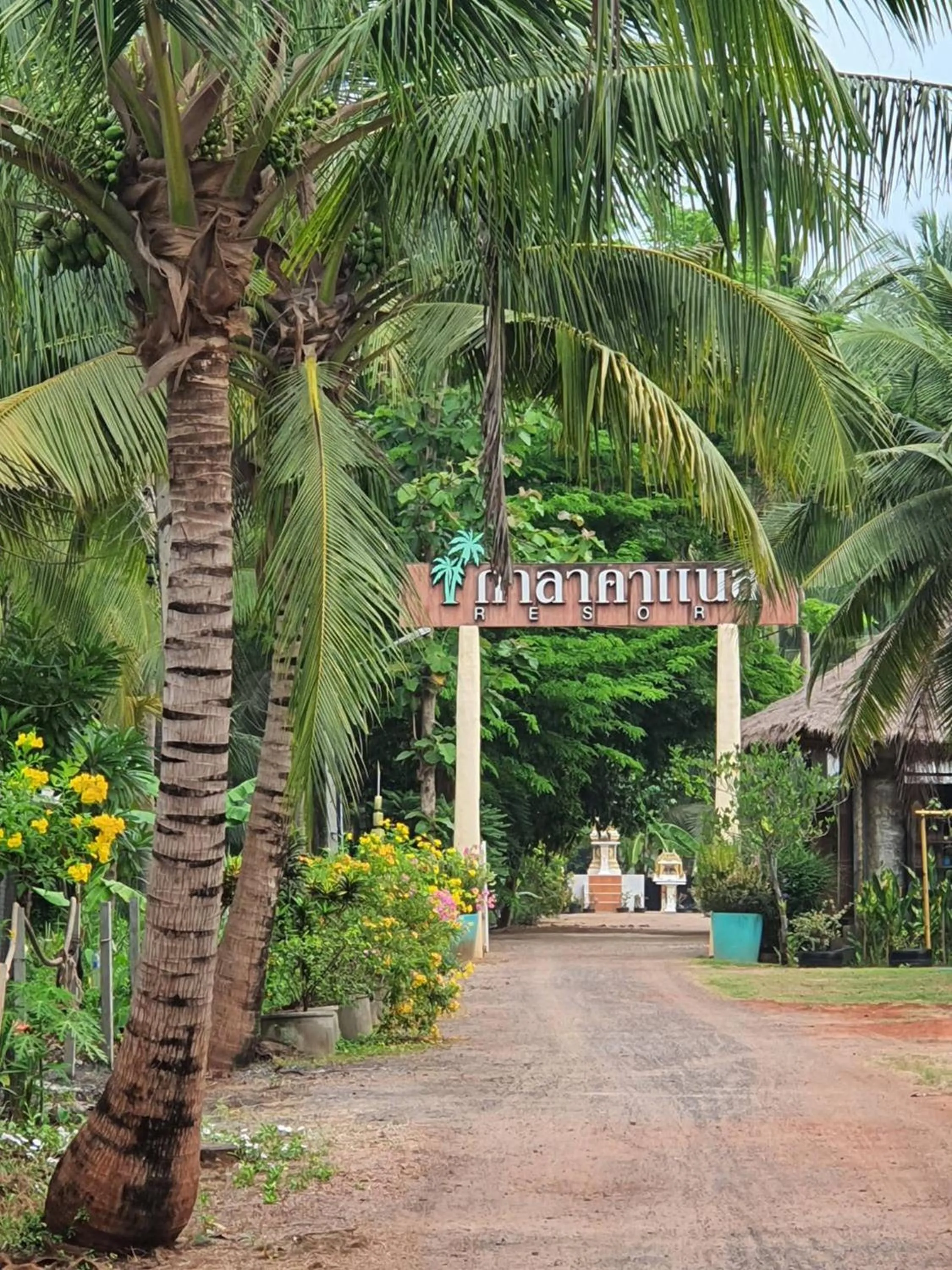 Natural landscape in Kalacanal resort