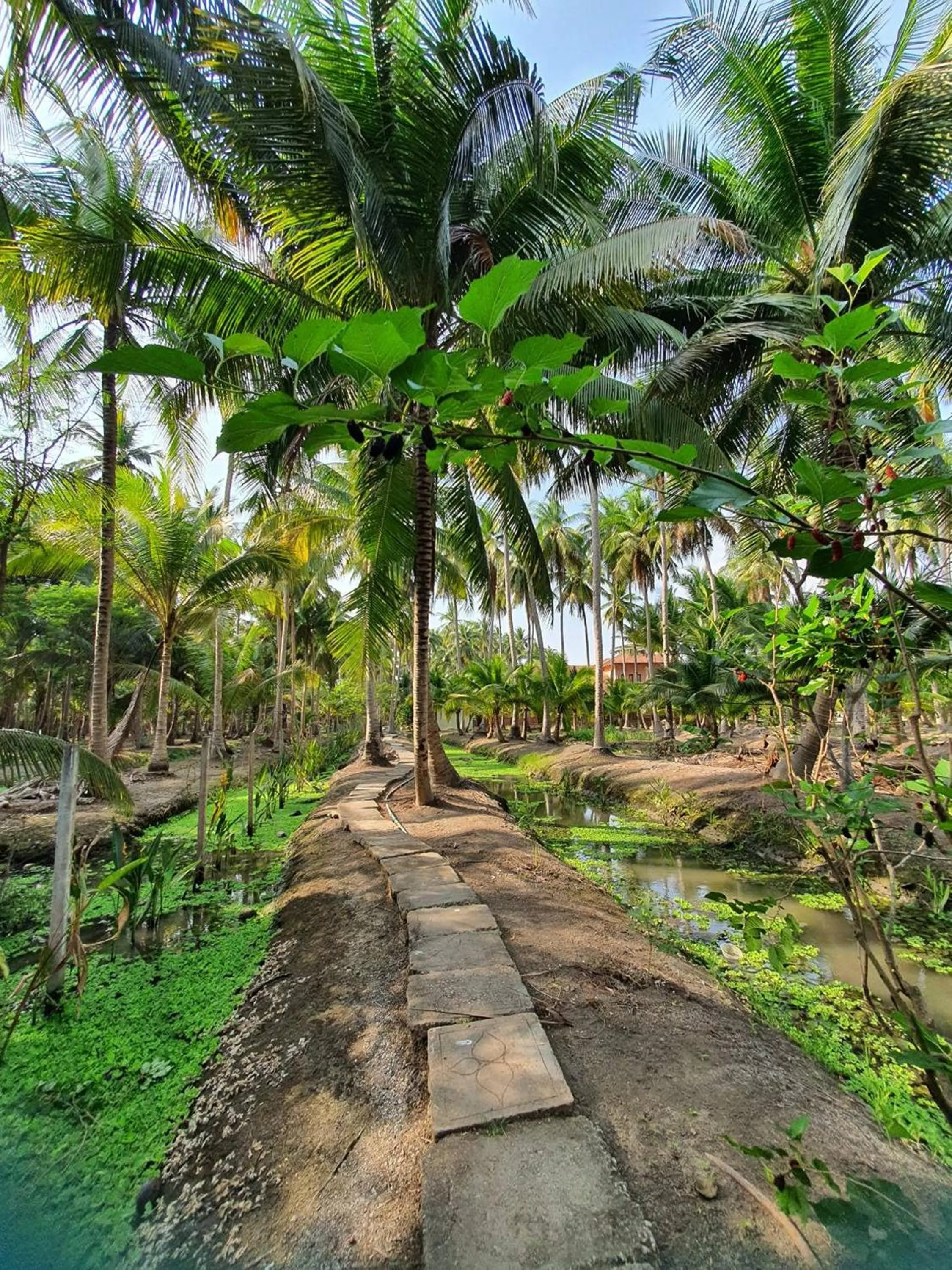 Natural landscape in Kalacanal resort