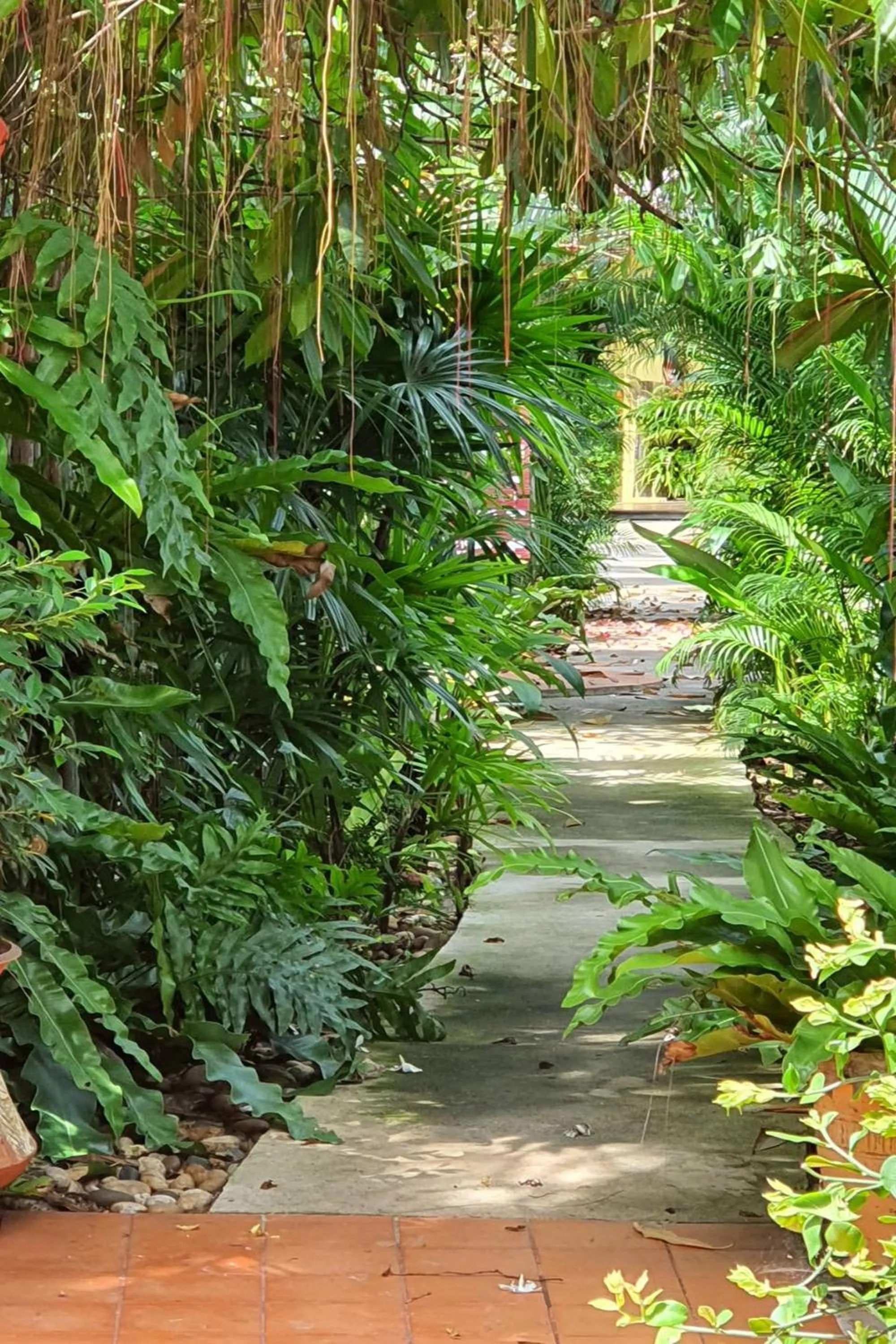 Natural landscape in Kalacanal resort