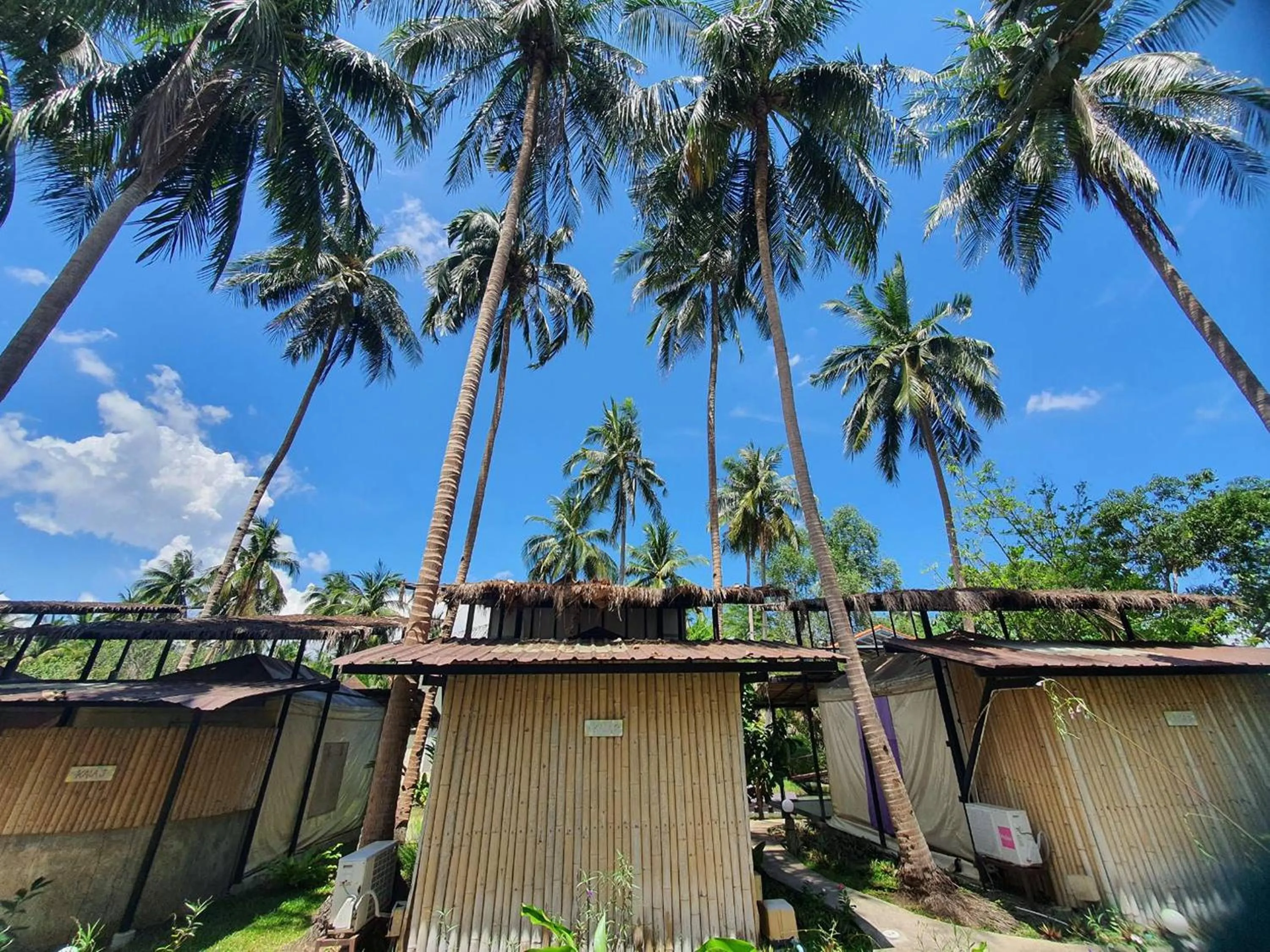 Natural landscape in Kalacanal resort