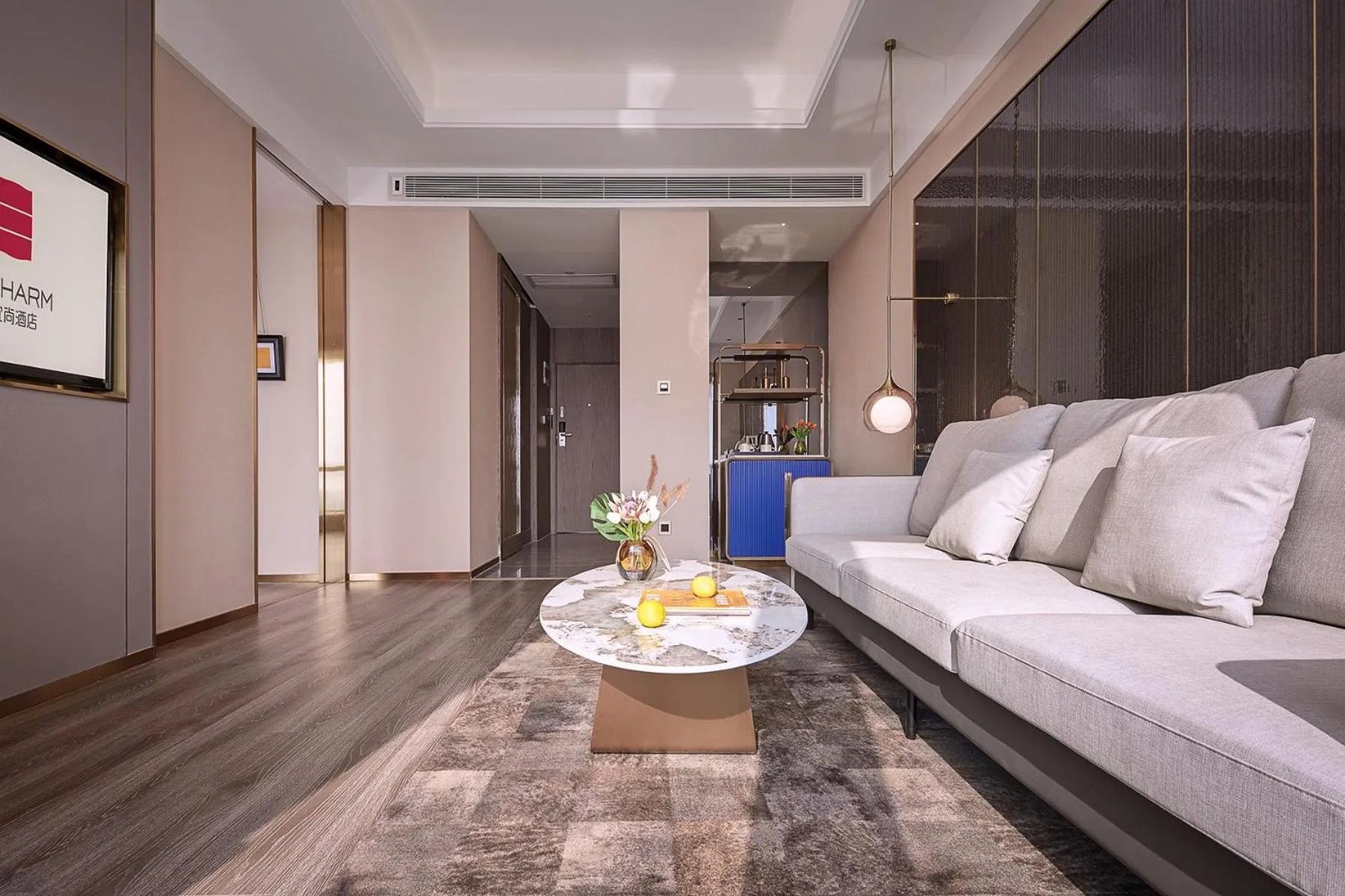 TV and multimedia in Echarm plus International Hotel Guangzhou Changgang Metro Station Branch - Free Shuttle Bus to Canton Fair Complex During Canton Fair Period