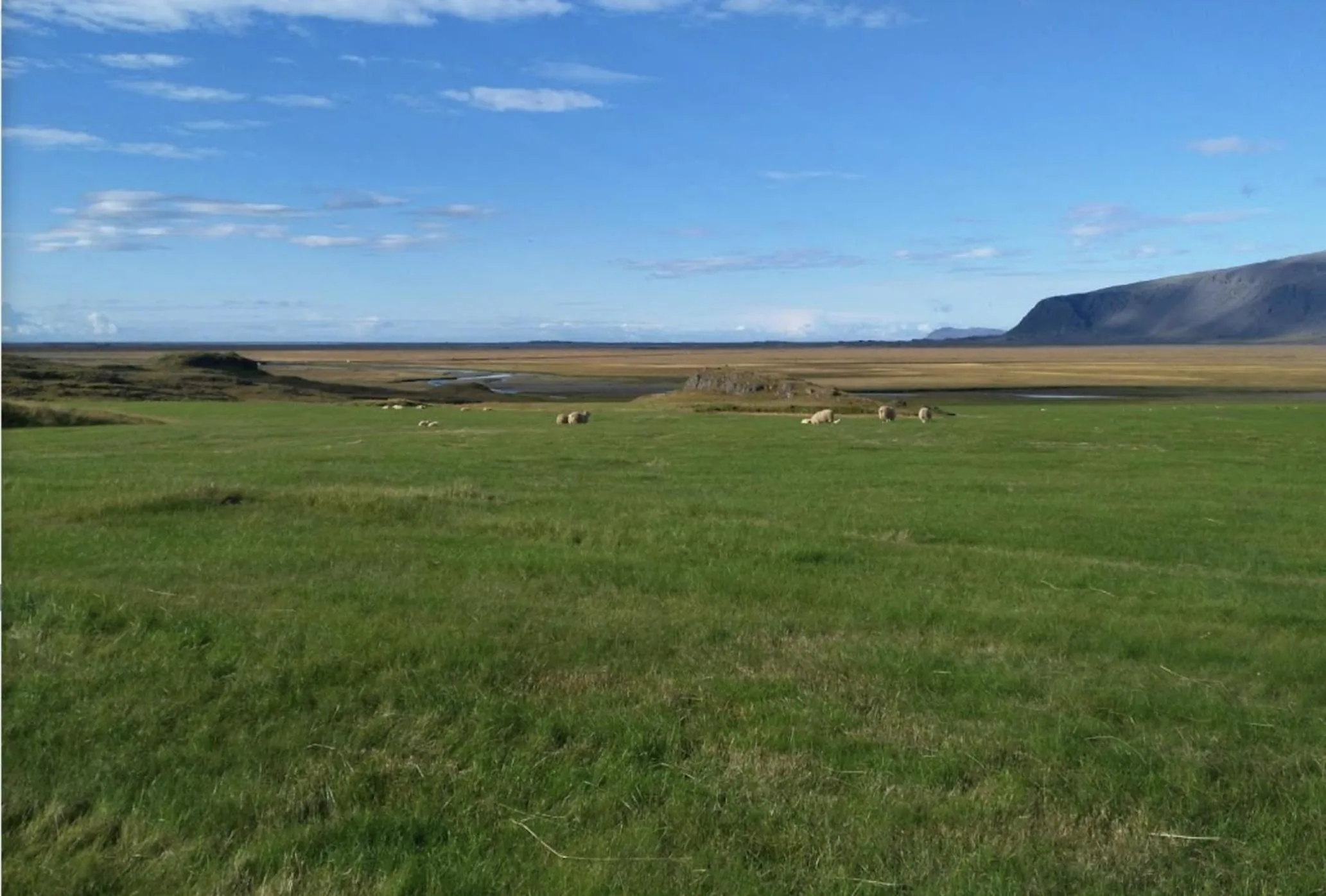 Natural landscape in Setberg Guesthouse