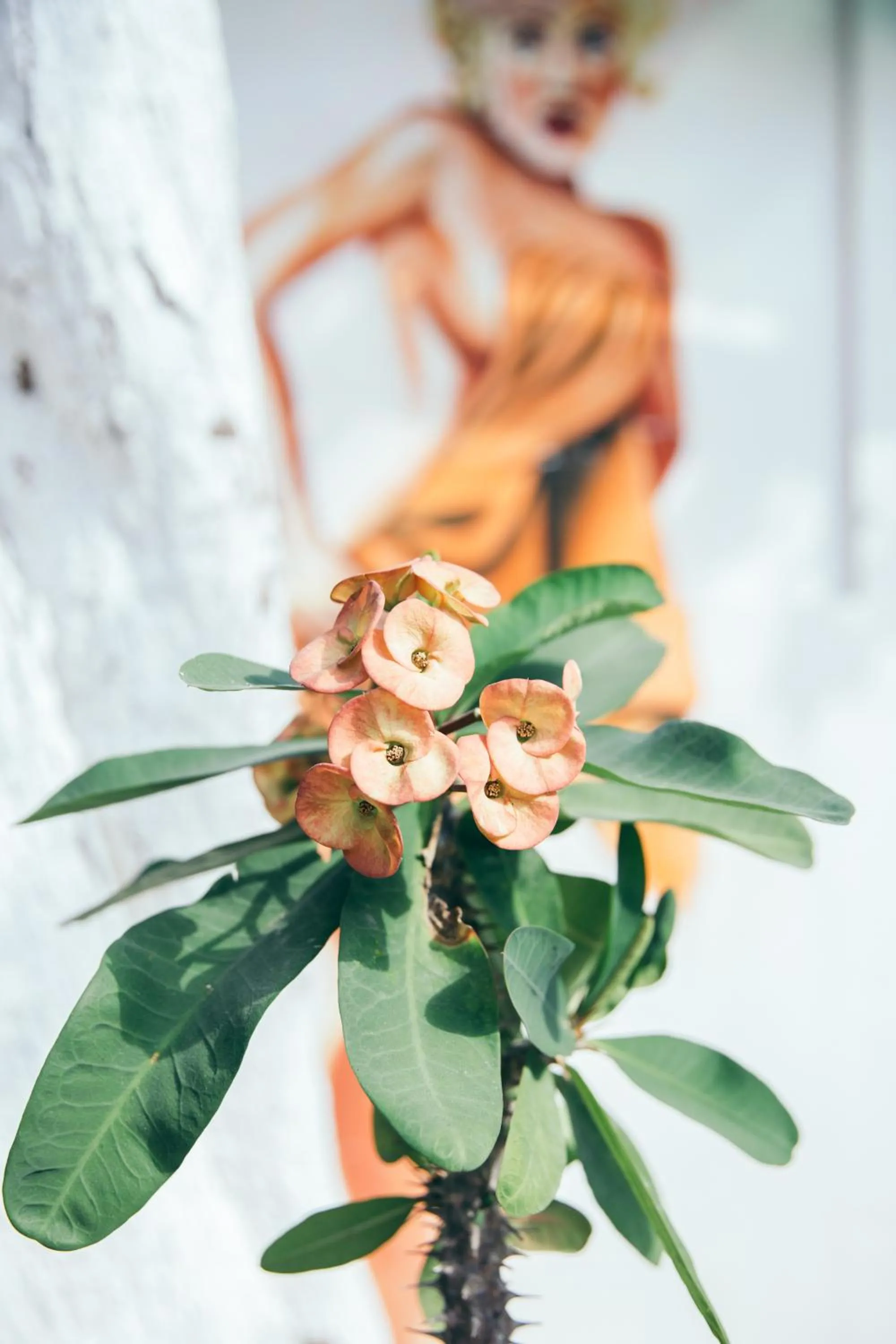 Decorative detail in Teetotum hotel