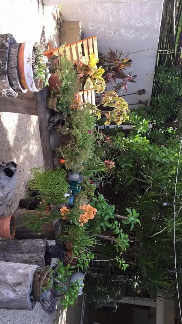 Patio in Teetotum hotel