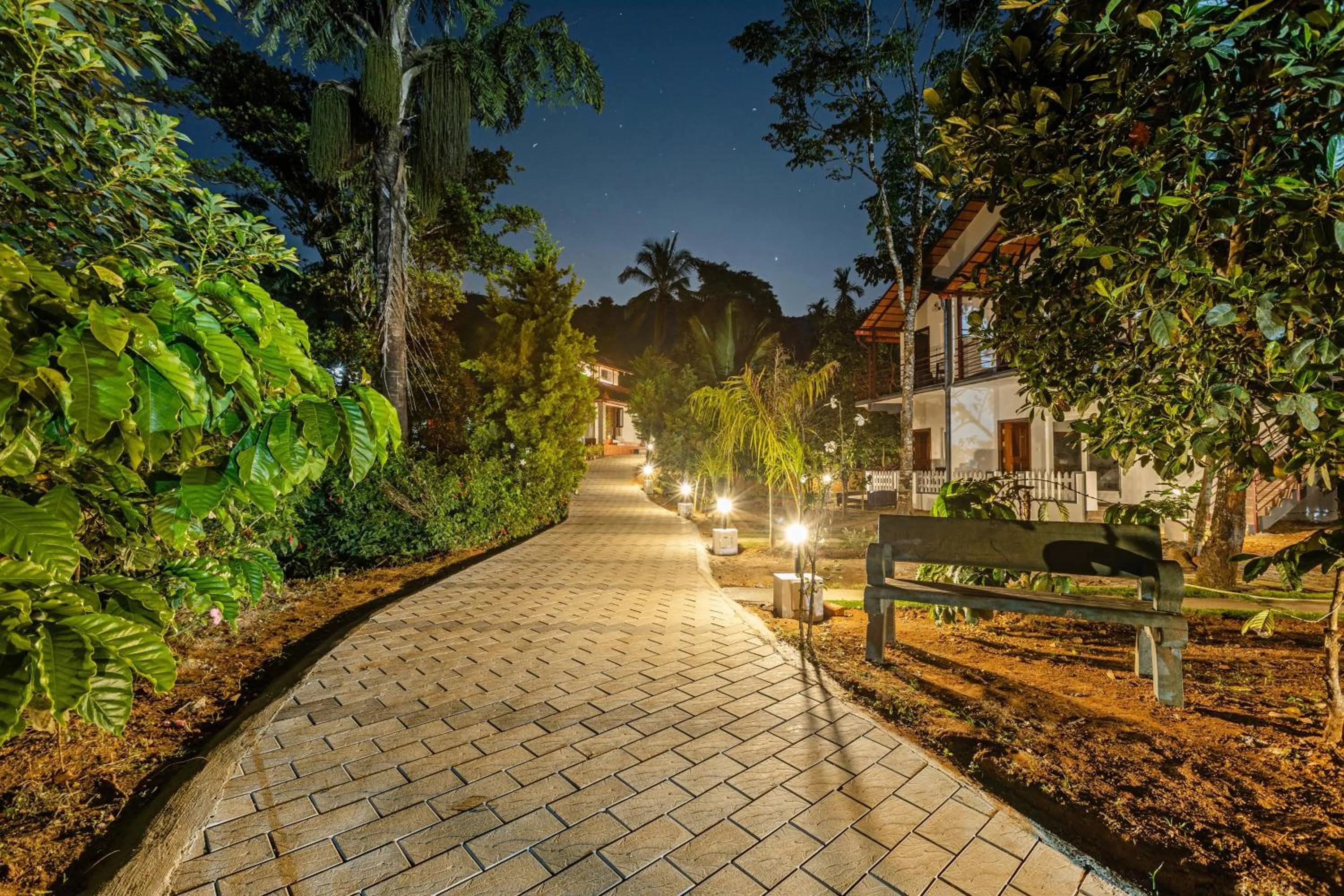 Garden view in Sterling Brookstone Coorg