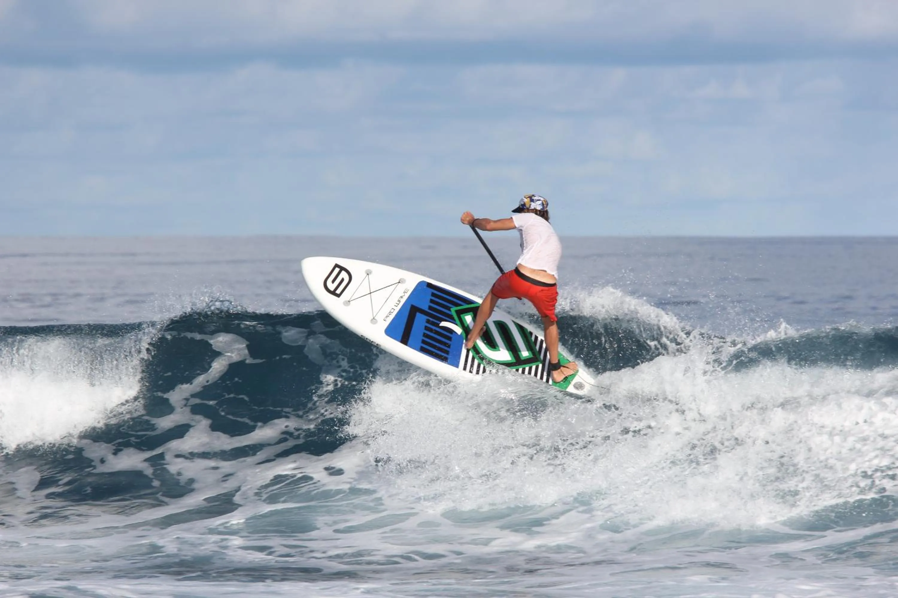 Activities in Hotel Albatros