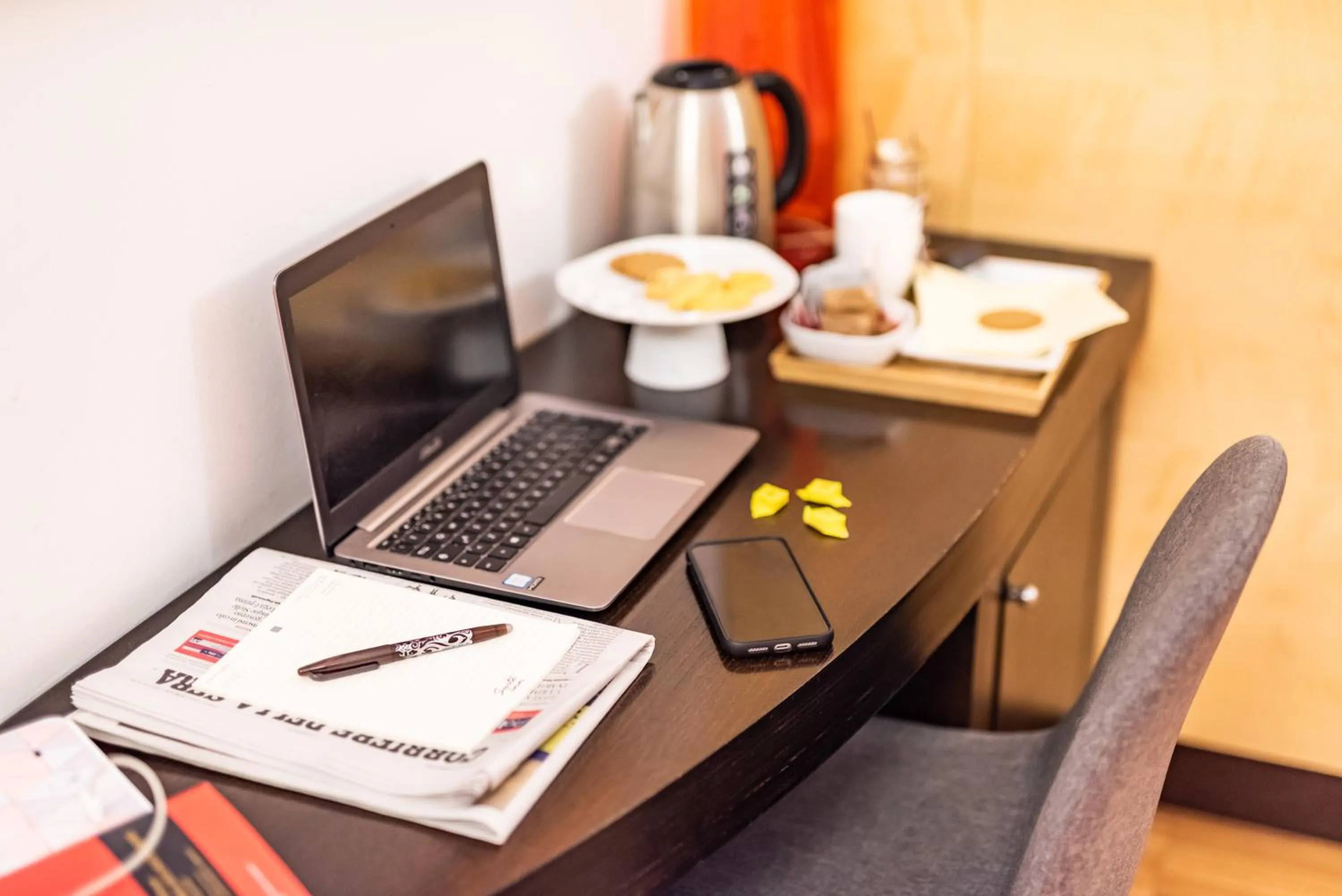 TV and multimedia in Hotel Suite Inn