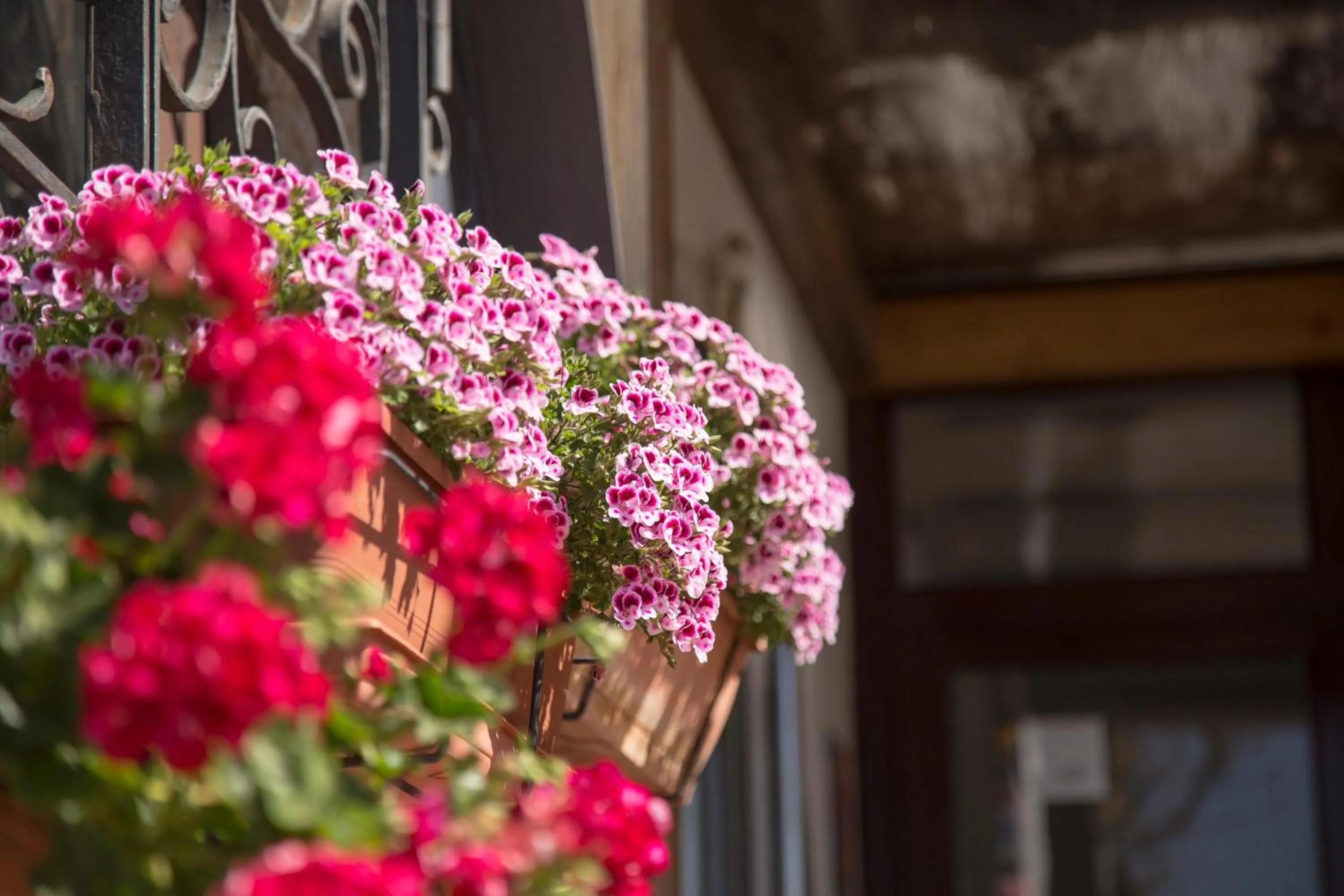 Garden in Casa Del Mar Hotel & Apartaments
