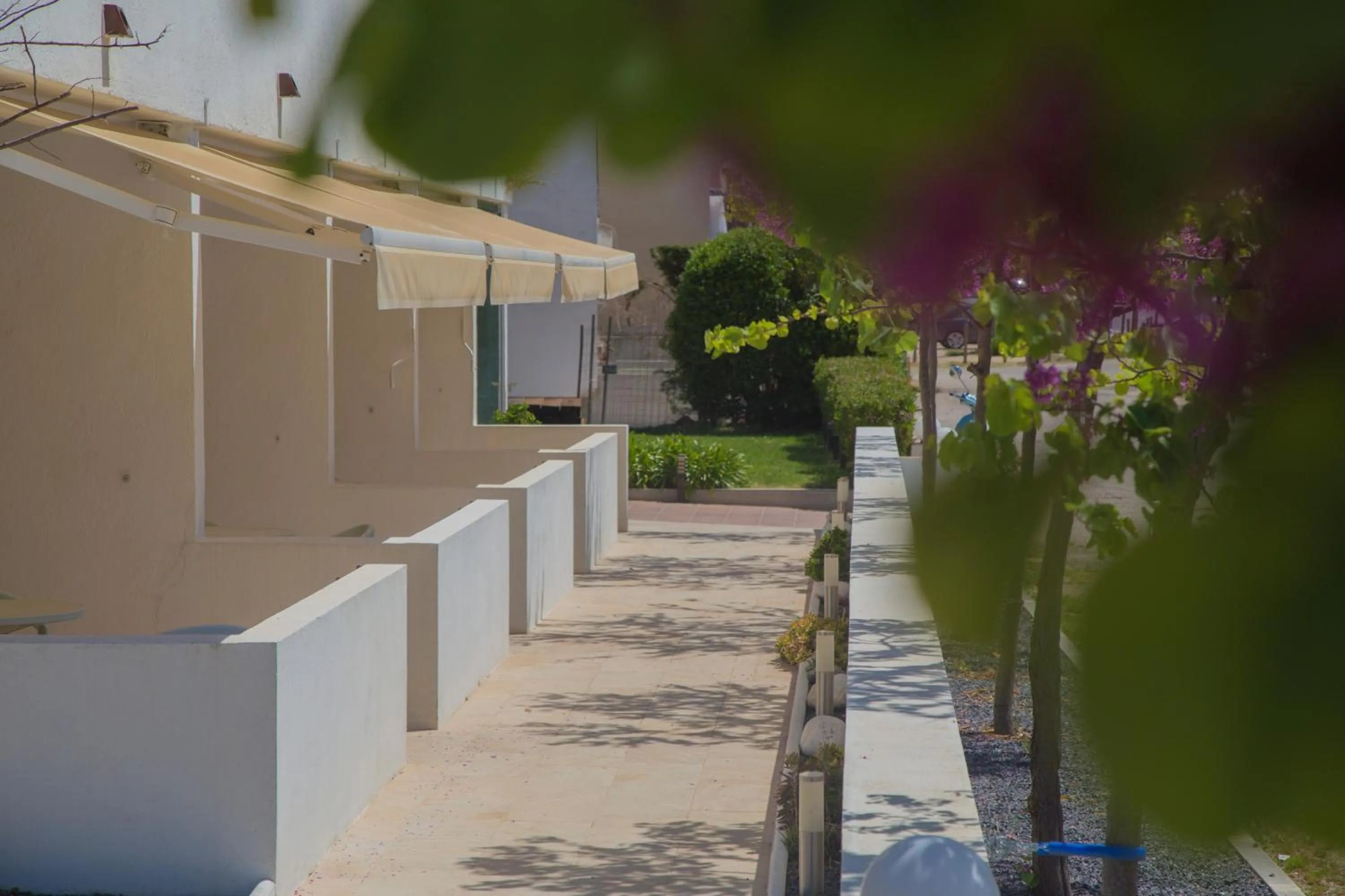 Casa Del Mar Hotel & Apartaments