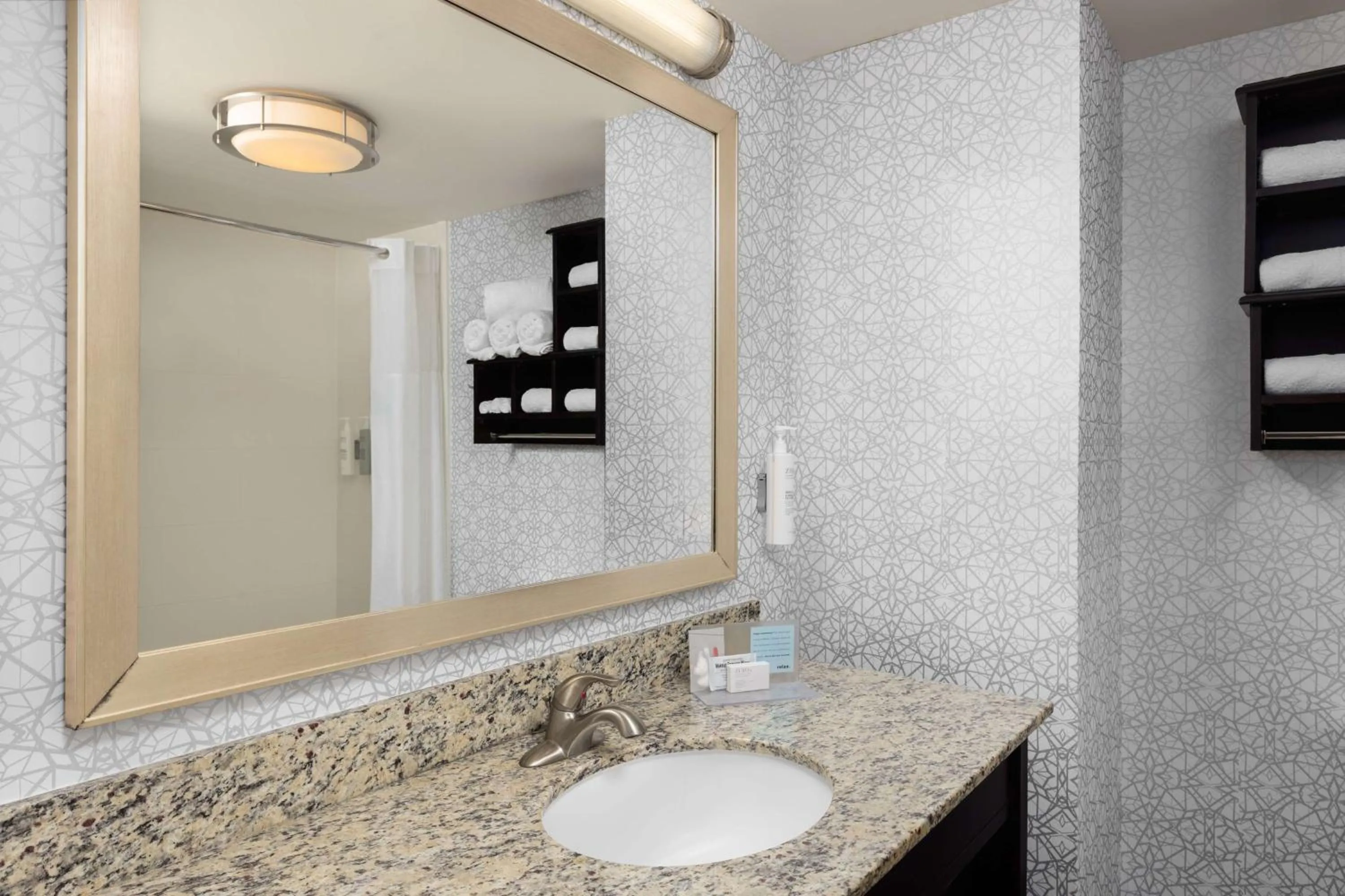 Bathroom in Hampton Inn & Suites Douglas