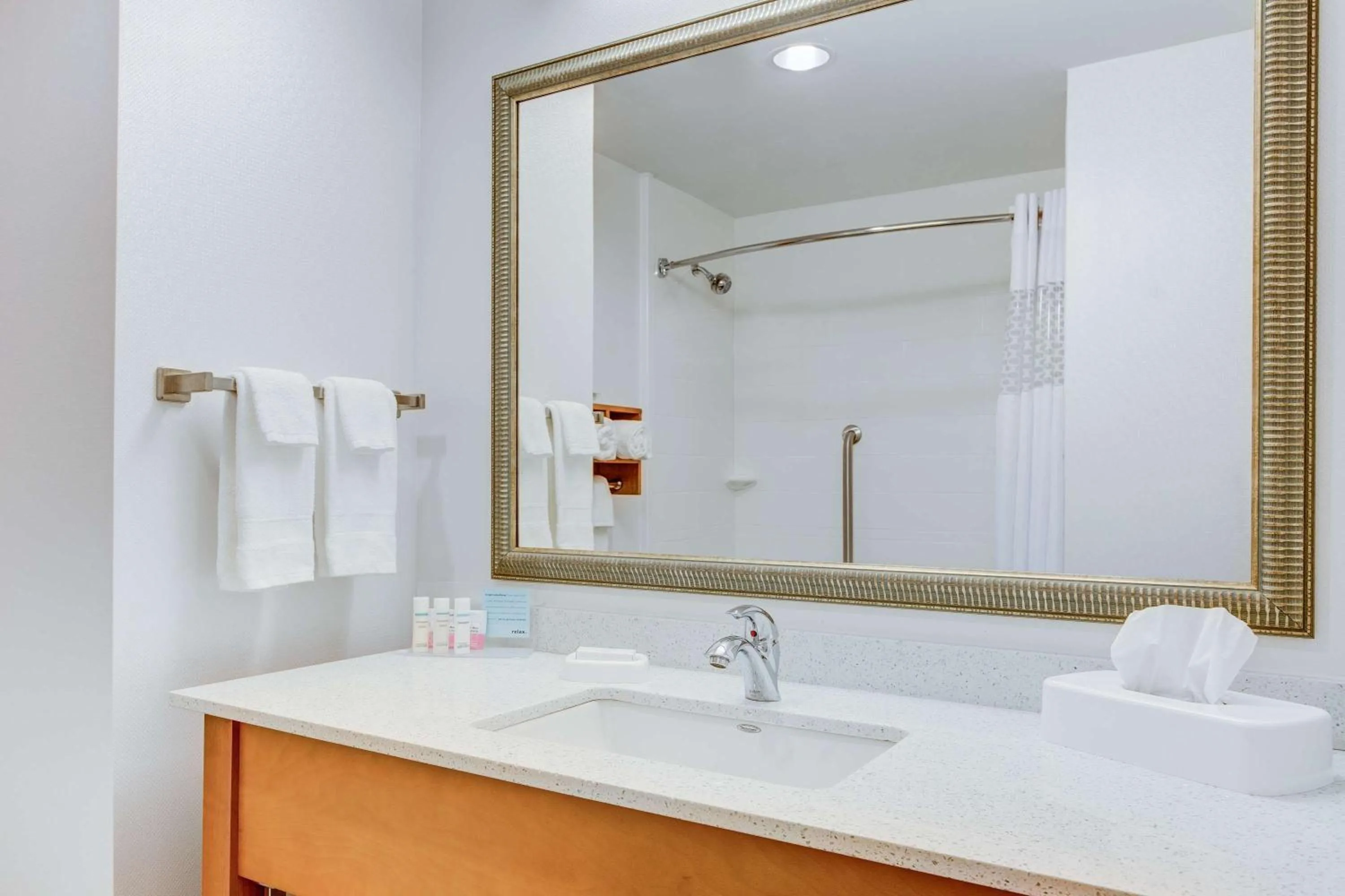 Bathroom in Hampton Inn & Suites Manchester, TN