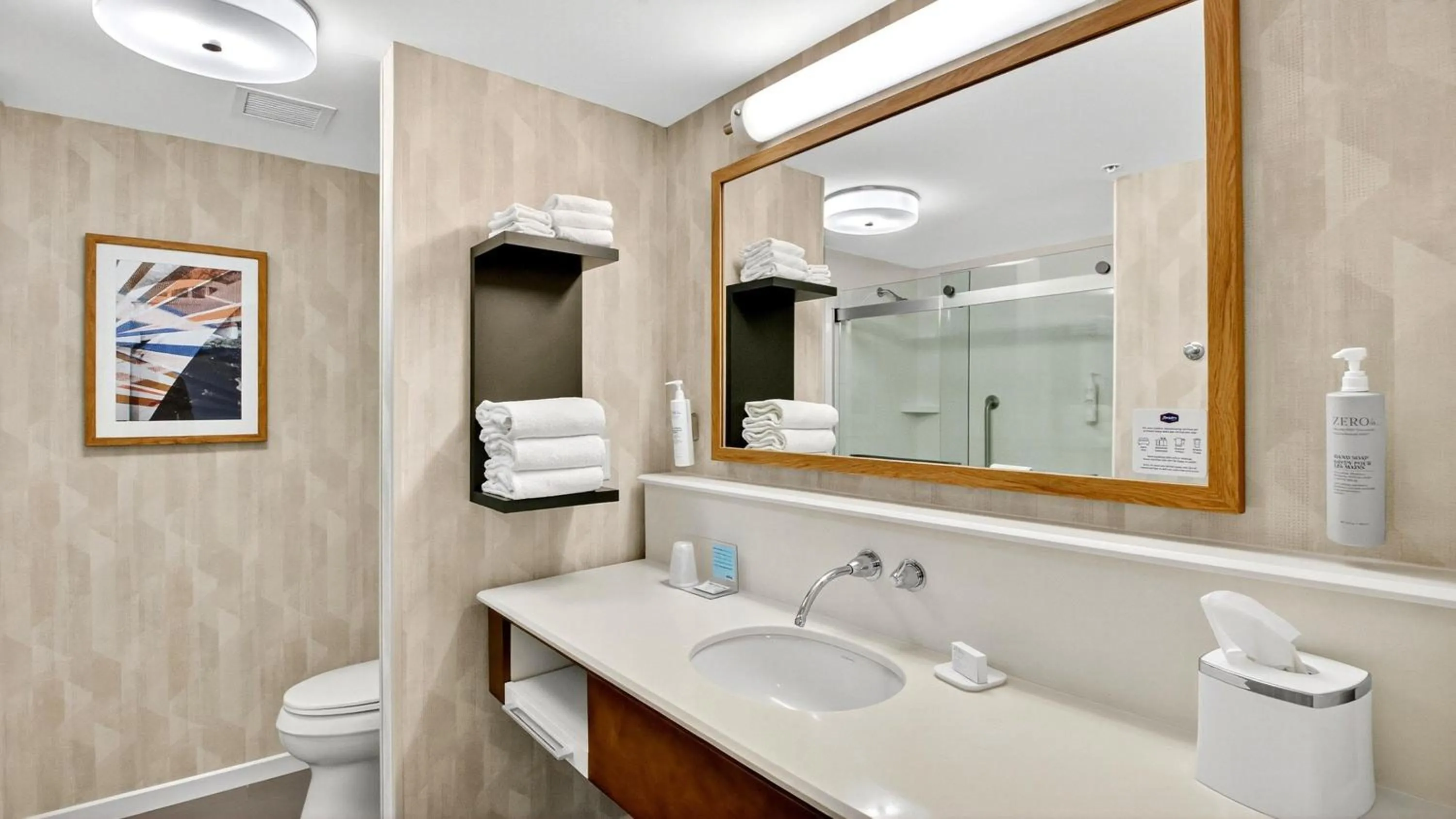 Bathroom in Hampton Inn & Suites Chippewa Falls