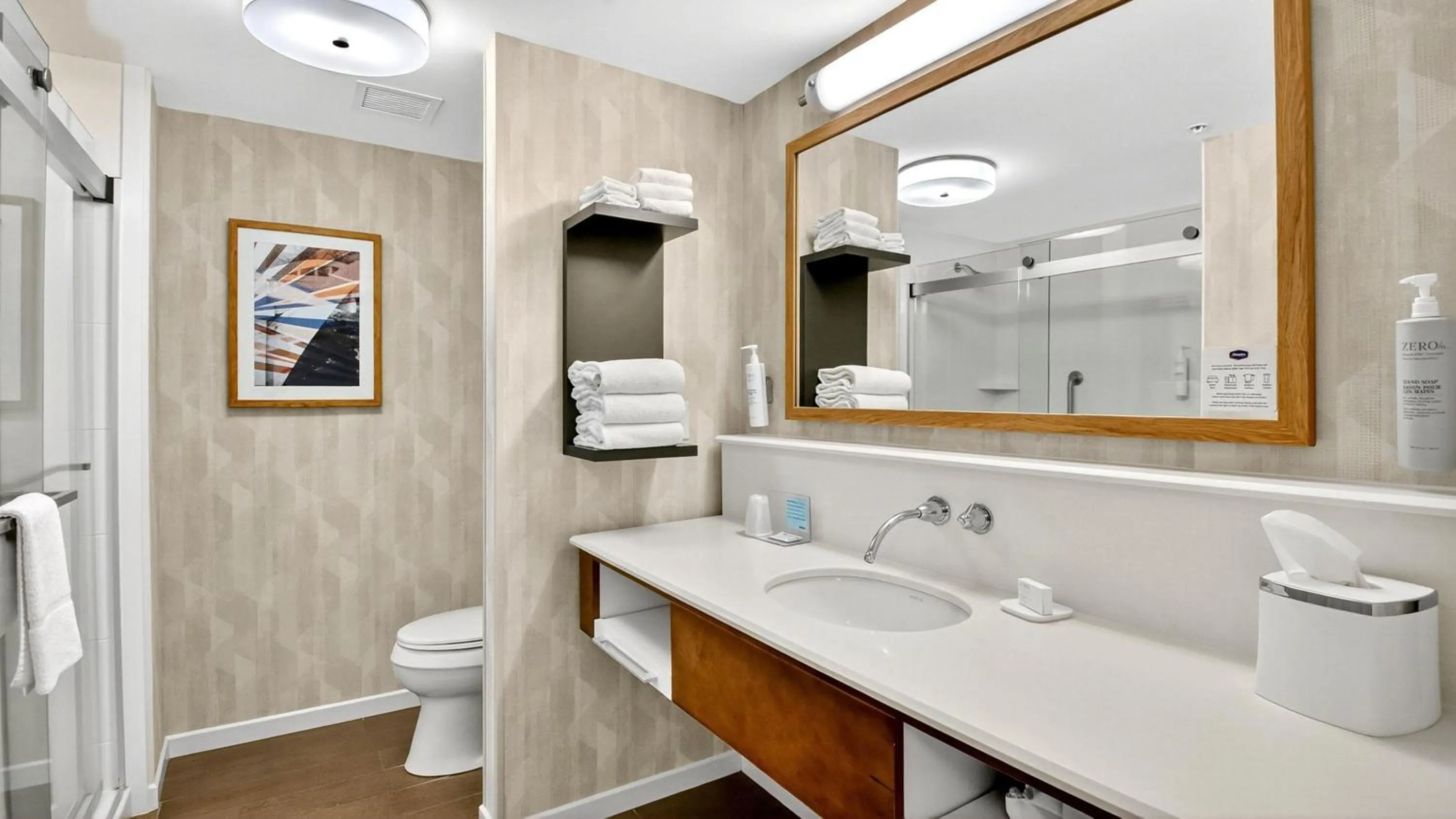 Bathroom in Hampton Inn & Suites Chippewa Falls